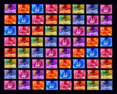 Singapore Stamp Collection, Singapore Ship Sequence (8x8) - Pop art color photo