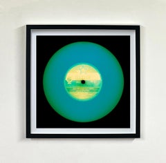 Vinyl Collection 10 Piece Multicolor Installation - Pop Art Color Photography