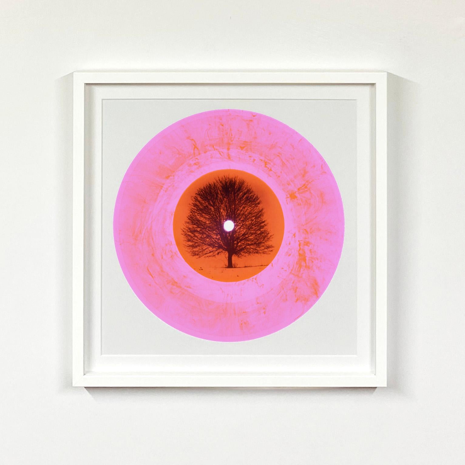 Vinyl Kollektion 16 Stück Mehrfarbige Installation – Pop Art Farbfotografie im Angebot 12