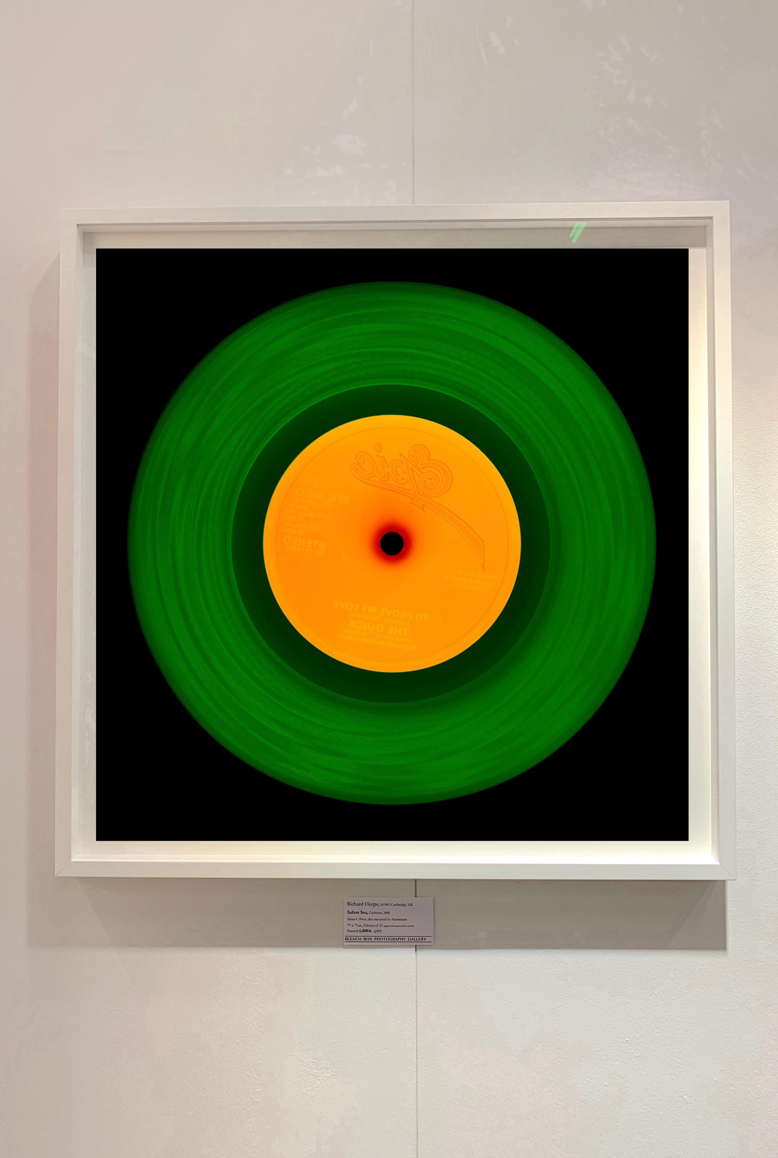 Vinyl Collection, 1981 (Green/Orange) - Conceptual, Pop-Art, Color Photography For Sale 2