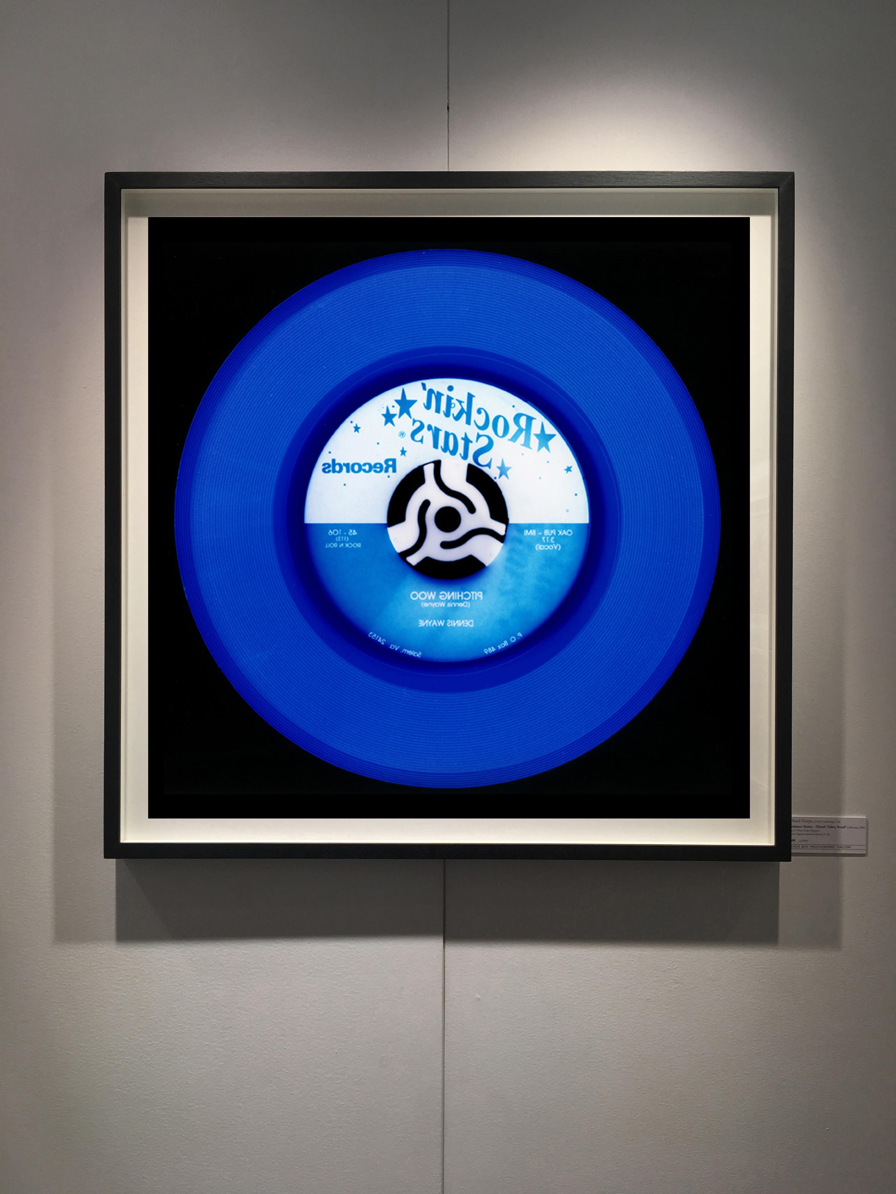 Vinyl Collection, Eighteen Piece Blues Installation - Pop Art Color Photography 12