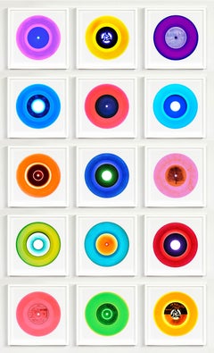 Vinyl Collection Fifteen Piece B Side Installation - Pop Art Color Photography