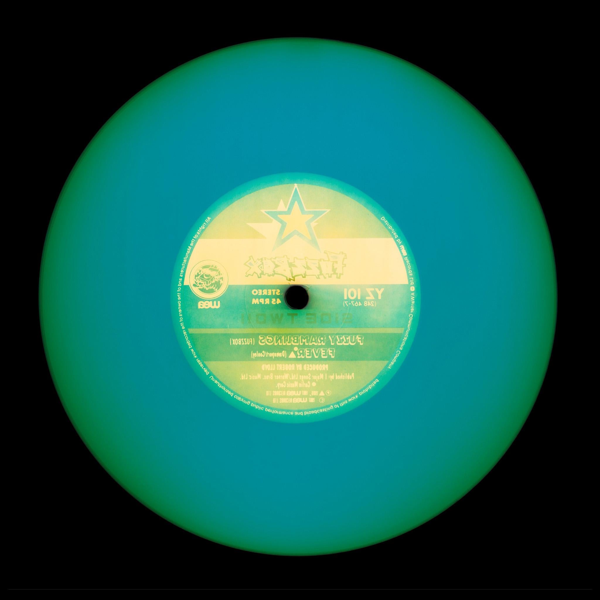 Vinyl Collection Fifteen Piece Multi-Color Installation - Pop Art Photography For Sale 2