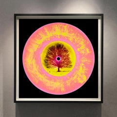 Vinyl Collection LTD ED Vinyl Ochre Pink - Pop Art Color Photography