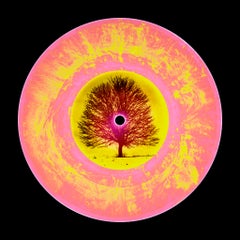Vinyl Kollektion LTD ED Vinyl Ockerrosa - Pop Art Farbfotografie