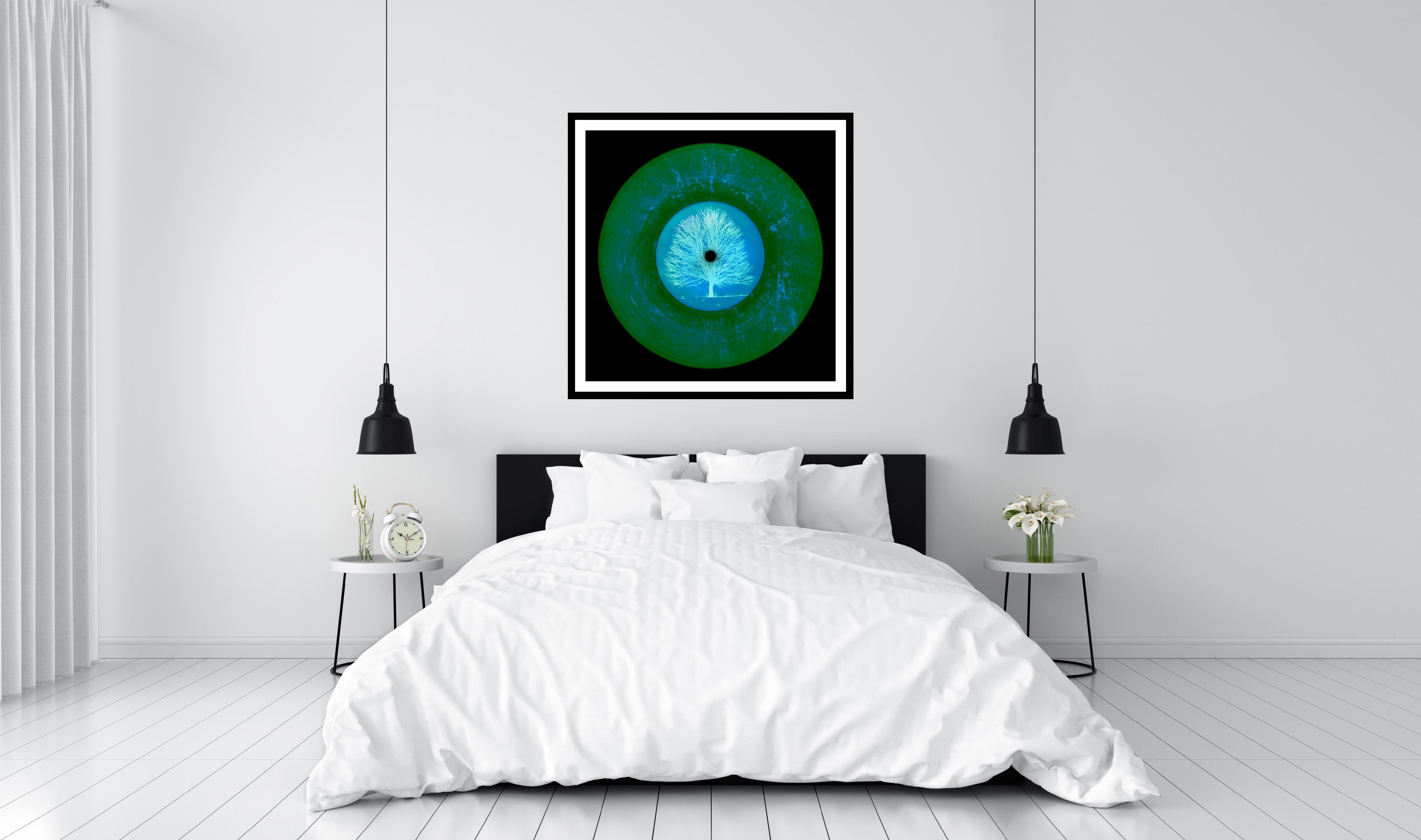 Vinyl Collection, LTD. ED. VINYL (Summer) - Conceptual Pop Art Color Photography For Sale 2