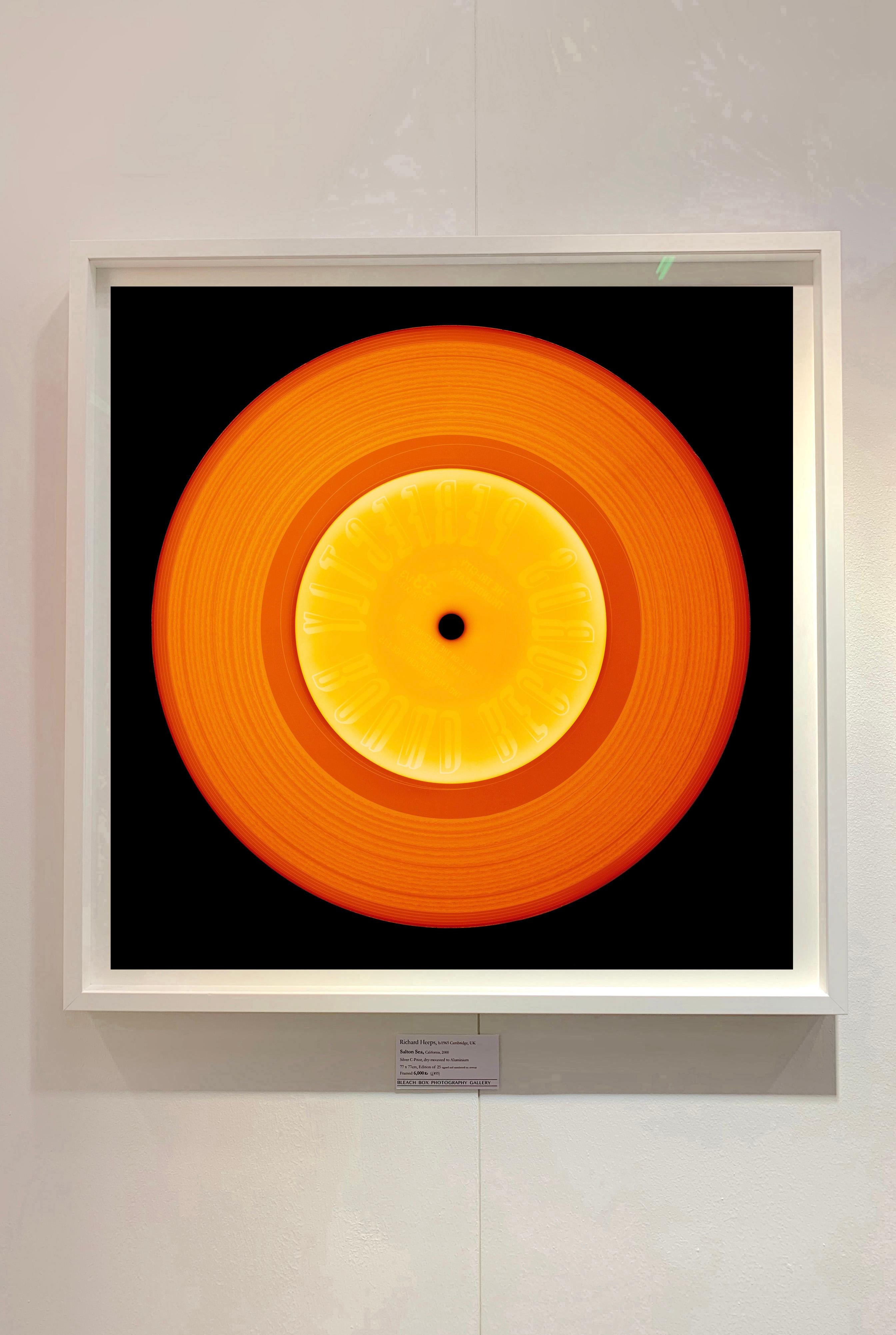 Vinyl Collection, Printed in the United States - Orange, Pop Art Photography For Sale 1