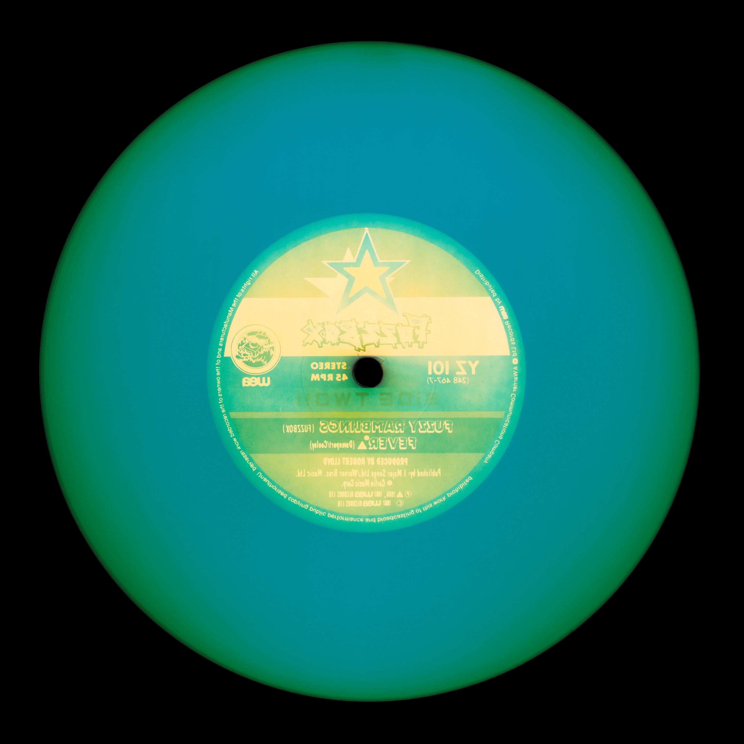 Vinyl Collection Six Piece Blues Installation - Pop Art Color Photography For Sale 3