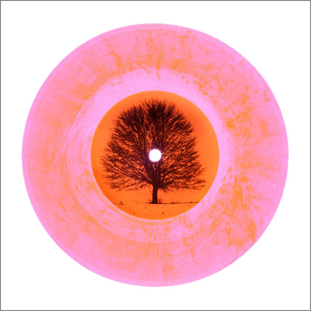 Vinyl Collection Ten Piece B Side Installation - Pop Art Color Photography For Sale 4