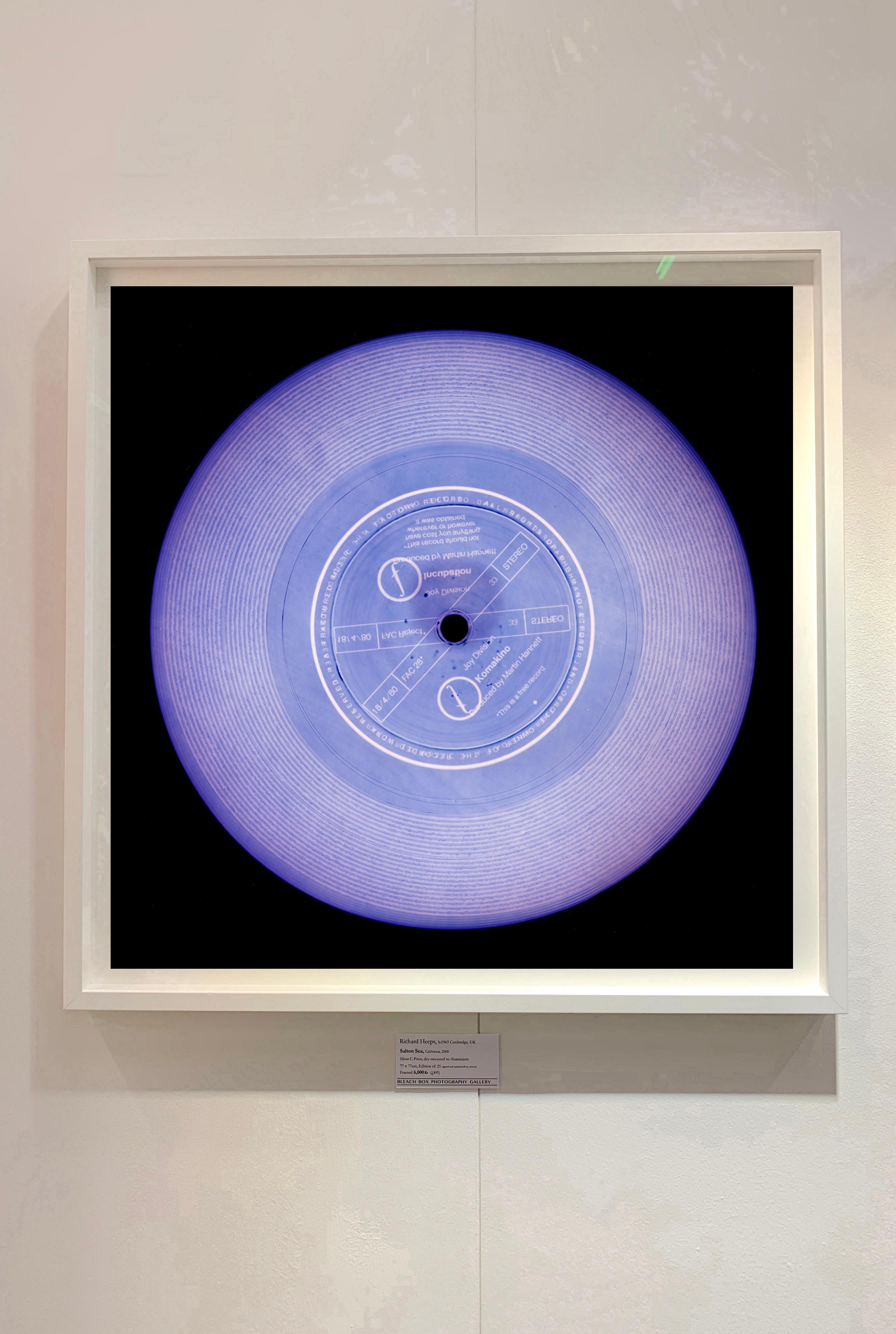 Vinyl-Kollektion, This is a Free Record (Lavender) – Konzeptionelle Fotografie – Print von Heidler & Heeps