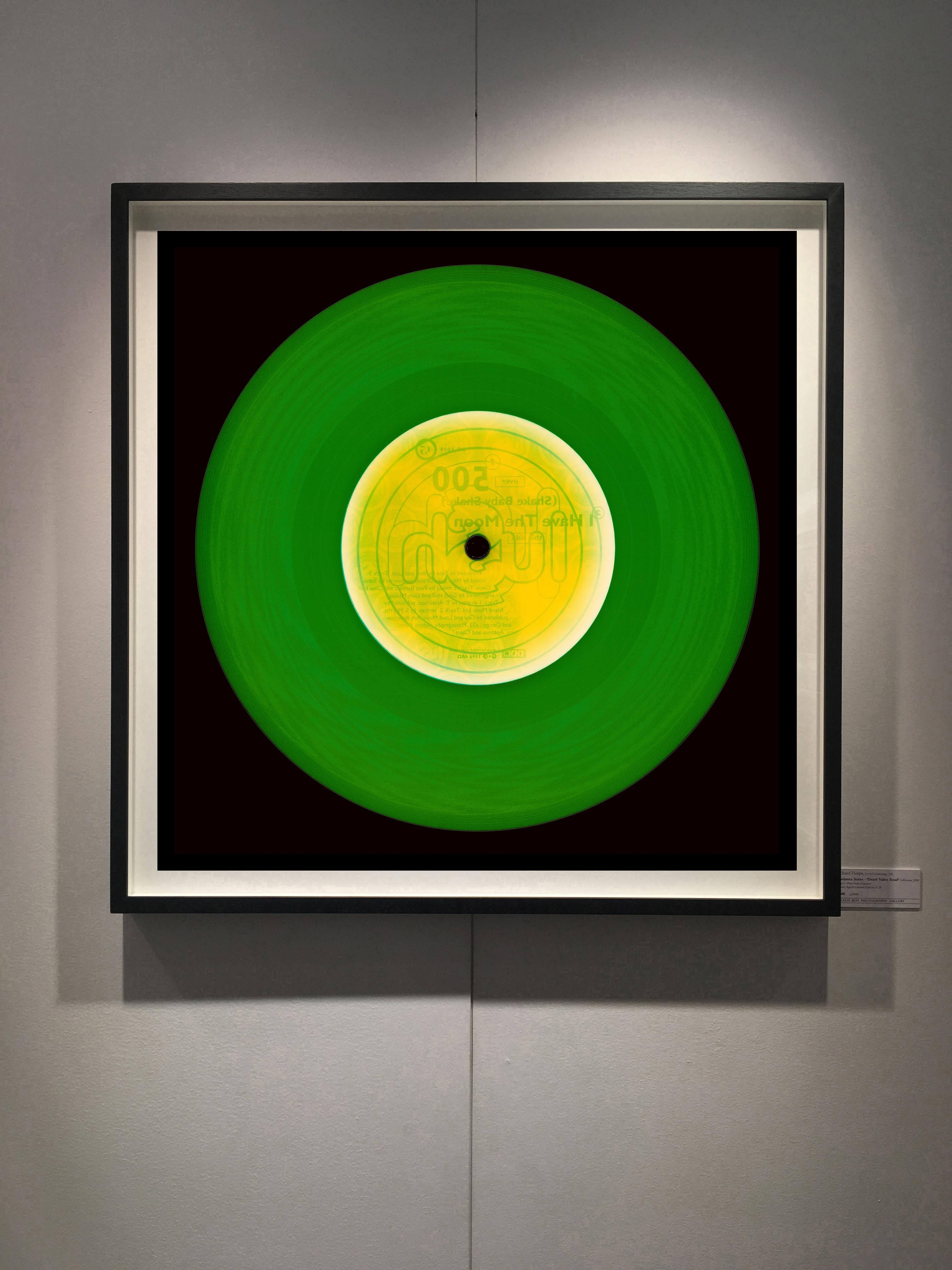 Vinyl Collection, This Side (Forest Green) - Conceptual Pop Art Photography - Print by Heidler & Heeps