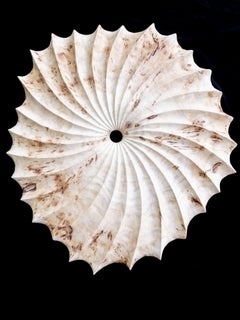 "Patience" Abstract Organic Radial Hand-Carved Wood Wall Sculpture in Poplar