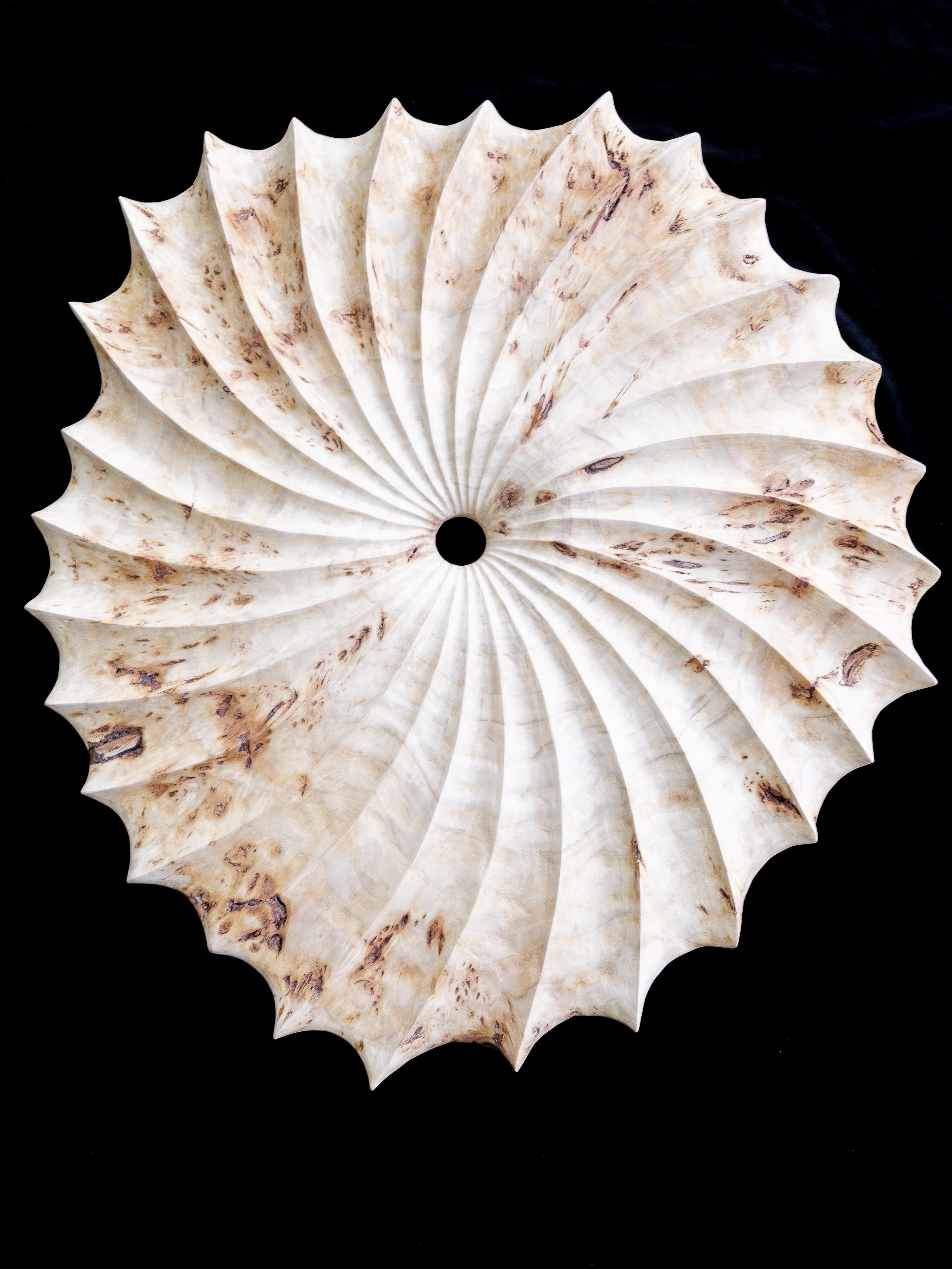 Heiko Weiner Abstract Sculpture - "Patience" Abstract Organic Radial Hand-Carved Wood Wall Sculpture in Poplar