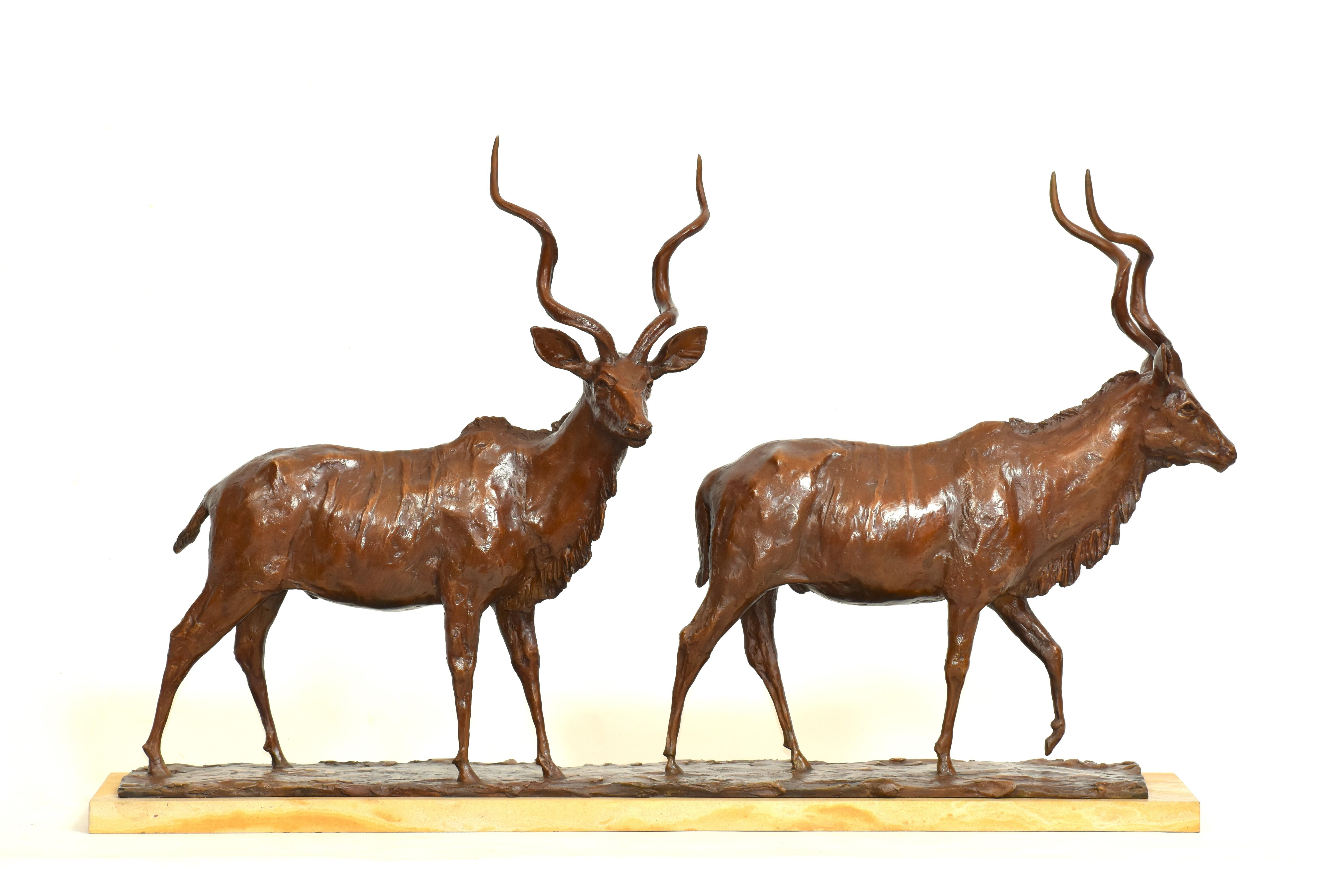 Going to the River - A Journey in Bronze: two Kudu Bulls in cast bronze on Sandstone base. Limited Edition of 12, L 62 cm x H 38 cm x W 20 cm.

Crafted in meticulous detail, this piece features two kudu bulls in stride, each moment captured with