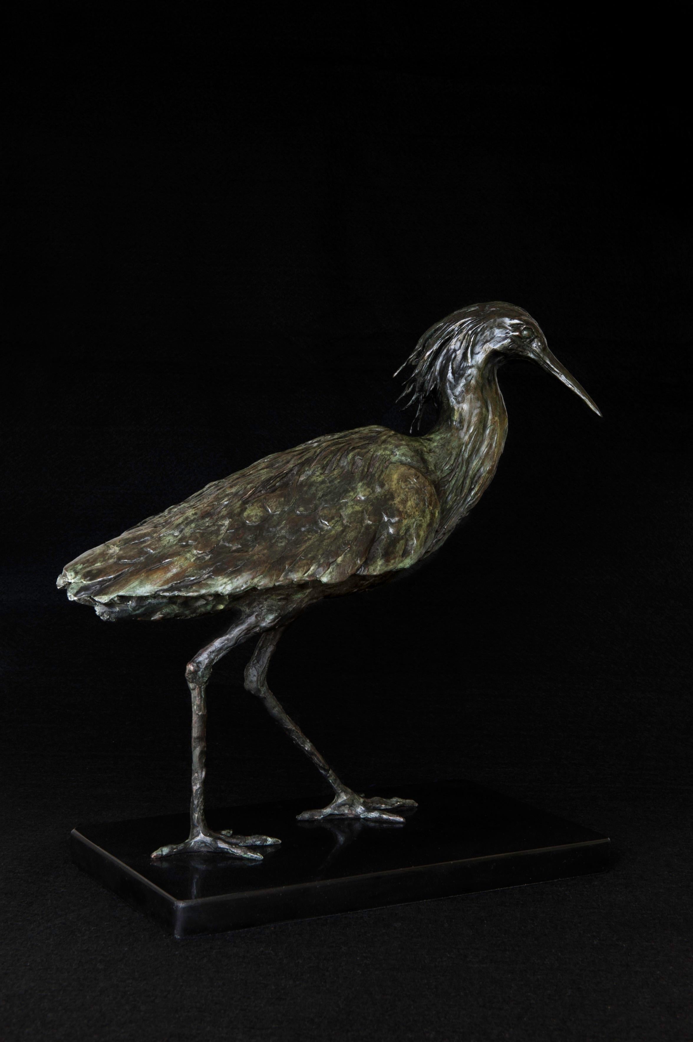 A study in bronze Egretta ardesiaca – Black Heron
Famous for its “umbrella” feeding technique in which it hunts for food inside of its own spread and curled wings.

Edition 1 of 9. Limited Edition of 9. Bronze sculpture with black verdigris patina