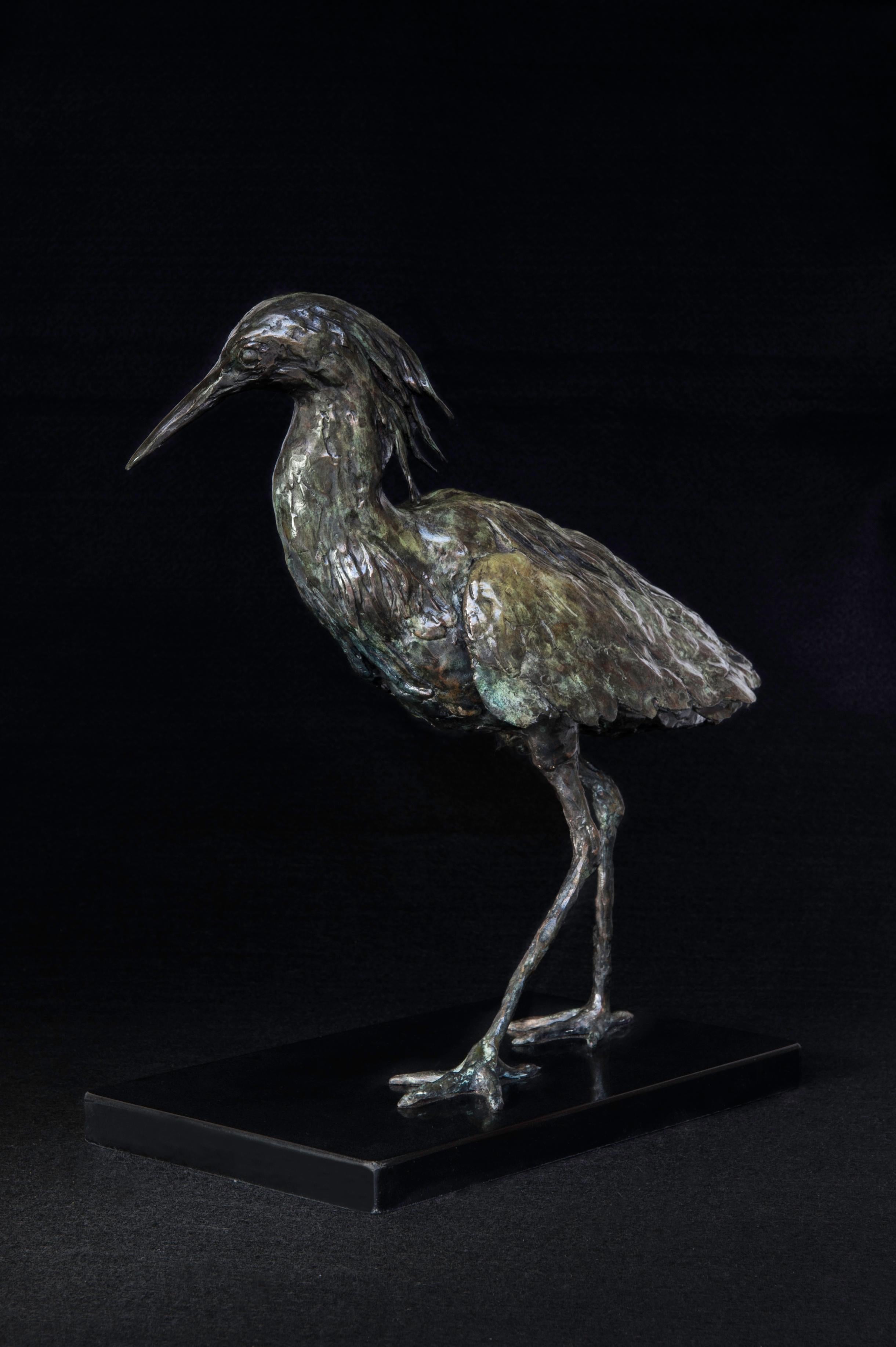 Black Heron - African Bird Bronze Sculpture - Limited Edition For Sale 1