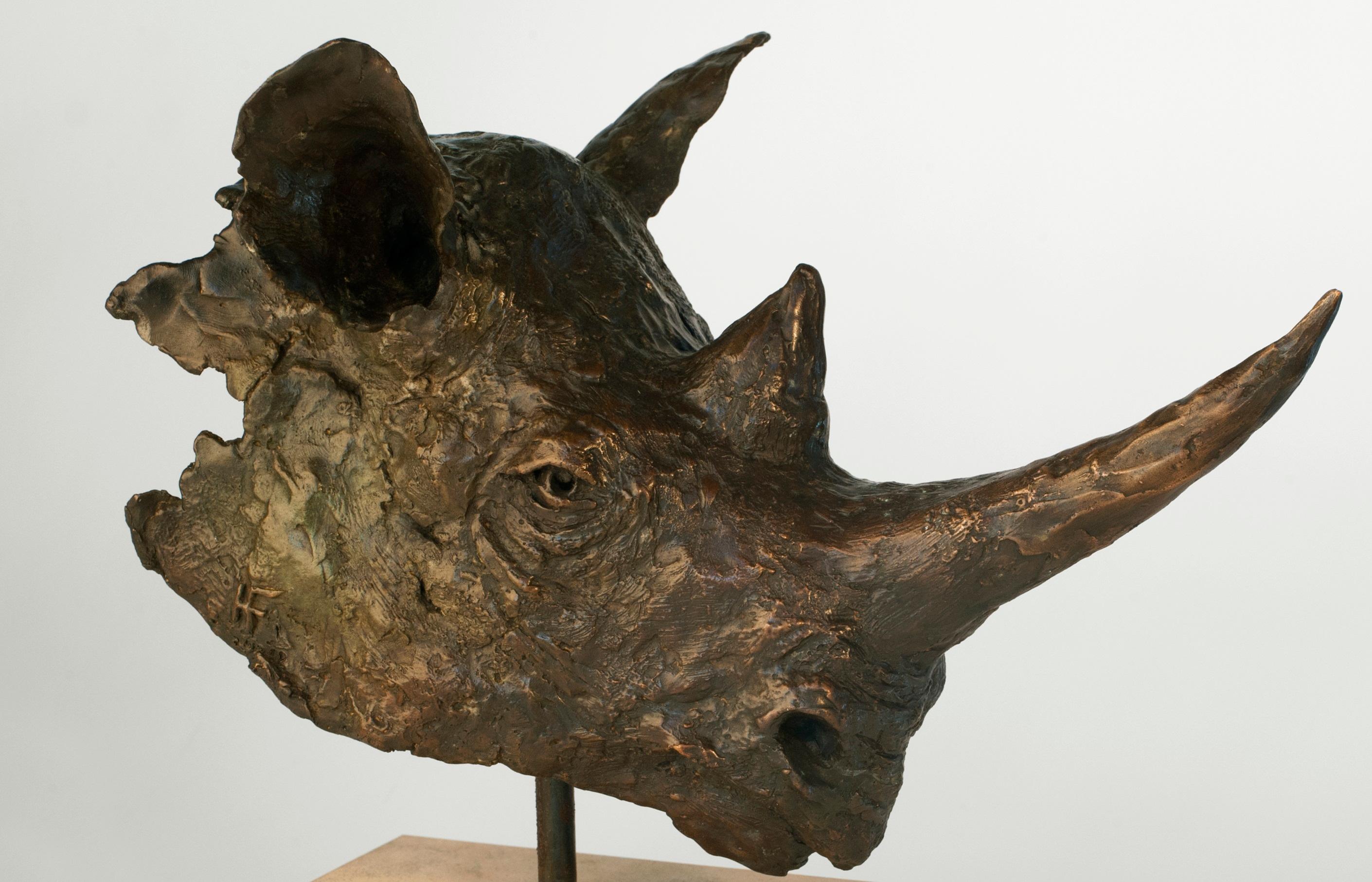 Black Rhino Bust - Bronze Sculpture - Limited Edition - Gold Figurative Sculpture by Heinrich Filter