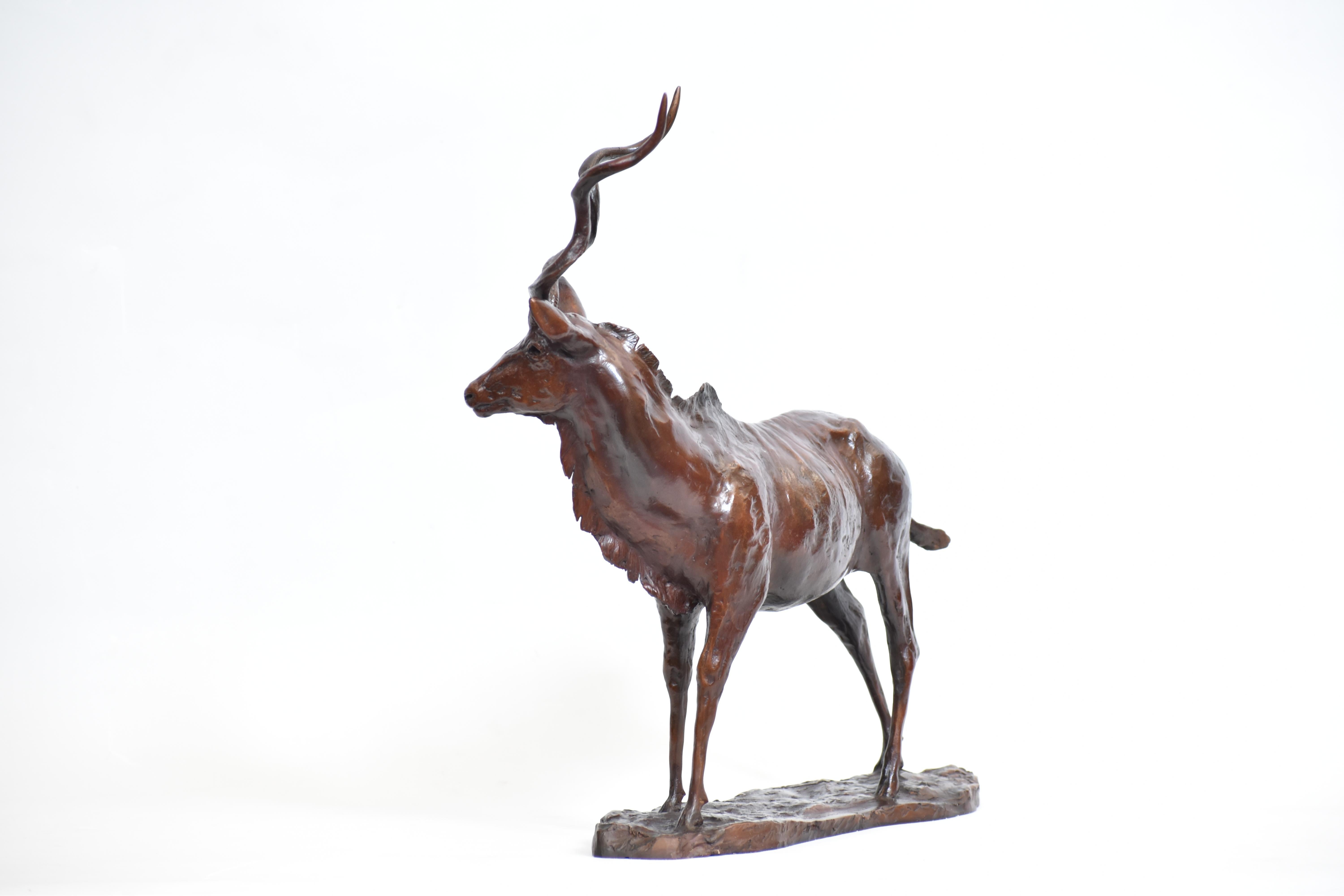 Kudu Bull - African Antelope Bronze Sculpture For Sale 1