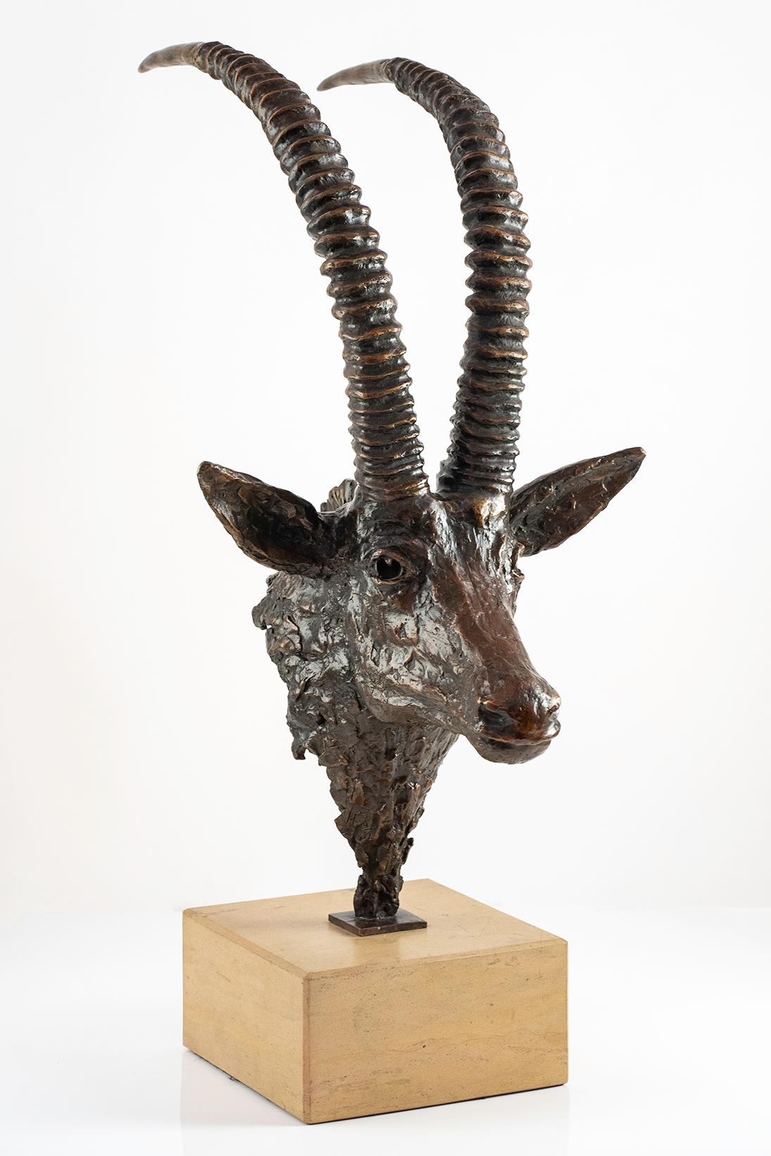 Sable Antelope Bust - African Wildlife Sculpture - Limited Bronze Edition - Gold Figurative Sculpture by Heinrich Filter
