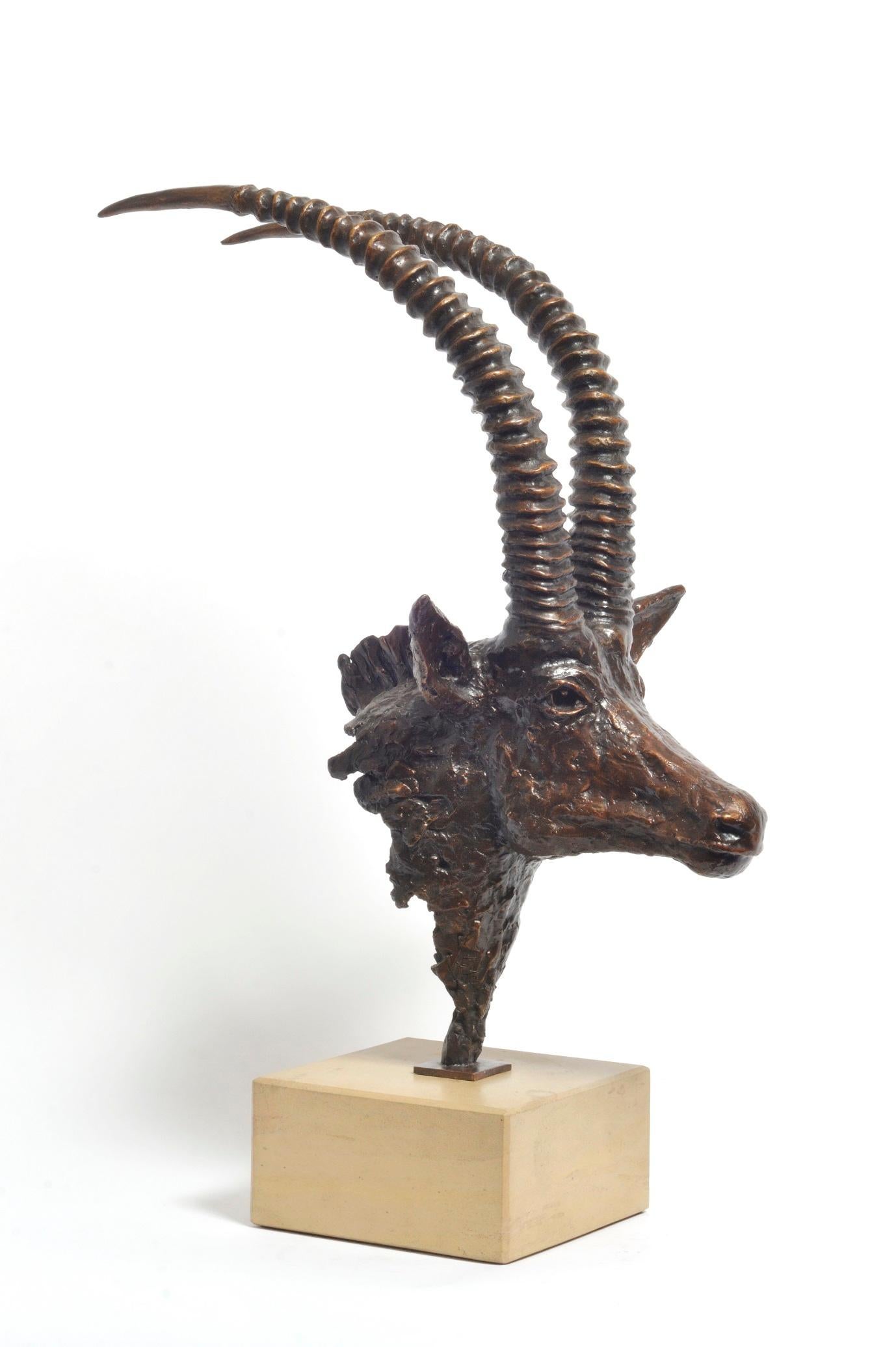 Sable Antelope-Büste – afrikanische Tierweltskulptur – limitierte Bronzeausgabe