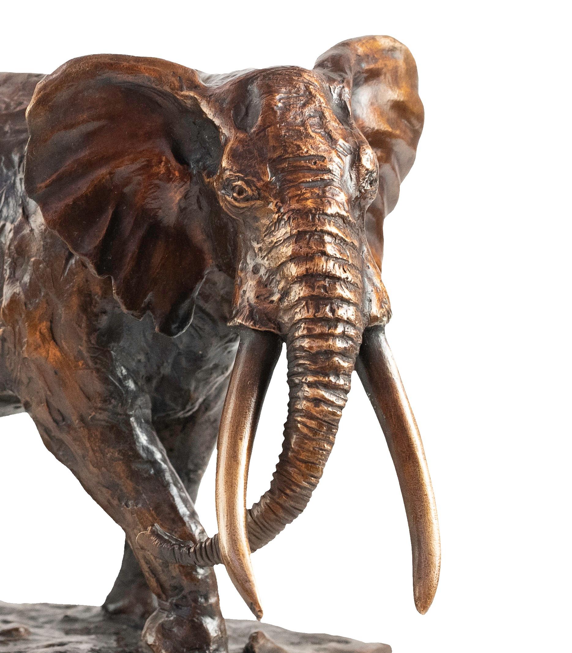 Tusker – afrikanischer Elefantenschwanz – Bronzeskulptur (Impressionismus), Sculpture, von Heinrich Filter