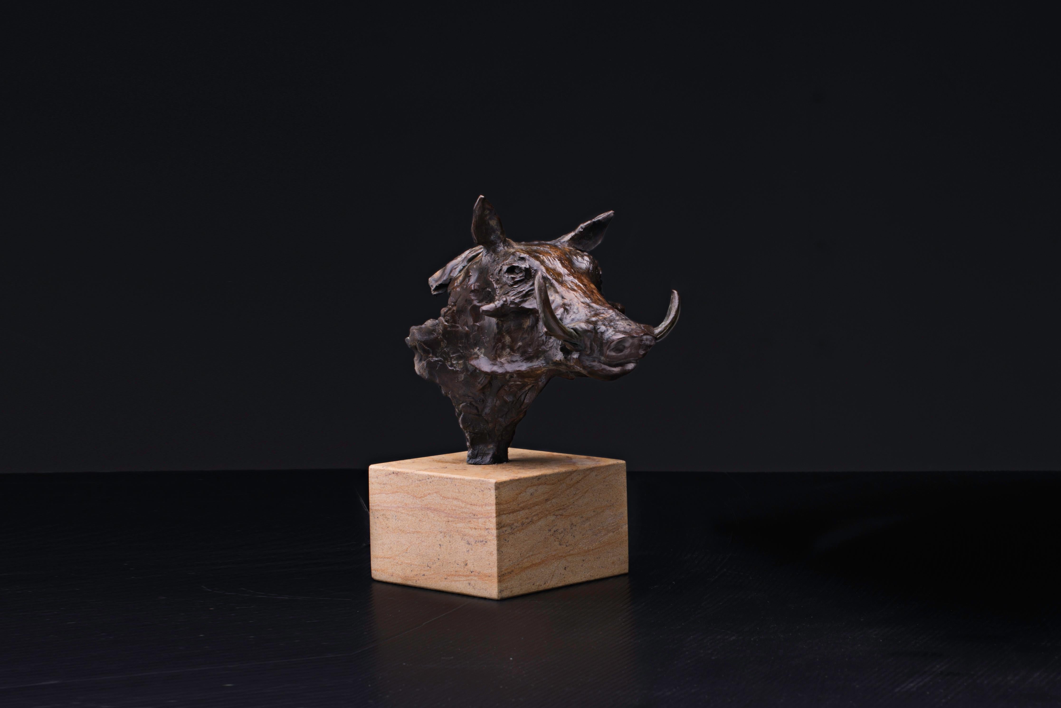 Warthog-Büste – Bronze-Skulptur der Tierwelt – Sculpture von Heinrich Filter
