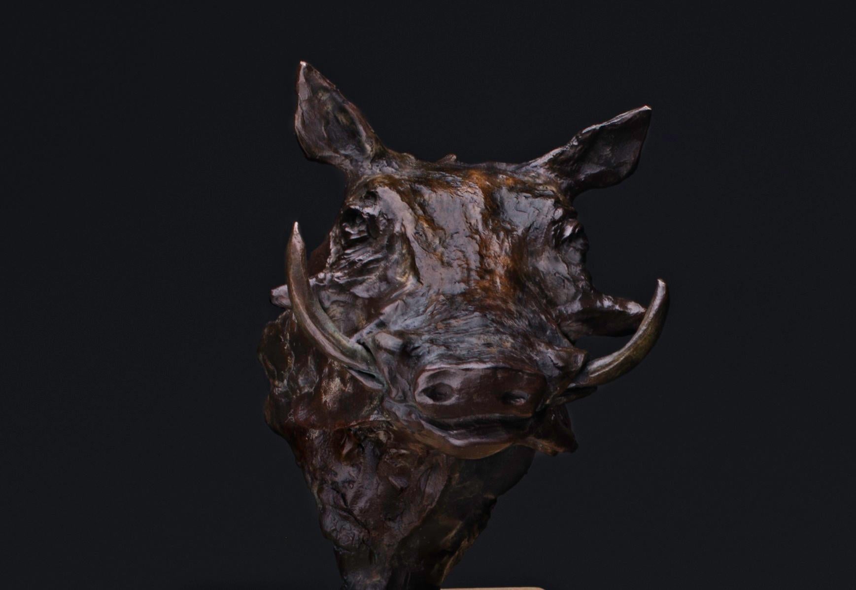 Bronze Warthog Bust on Sandstone base H 16 cm x W 13 cm x D 8 cm. Base size 8 x 8 x 4 cm. Edition 2 of 9 - ready for shipping. Meticulously crafted, this bronze artwork captures the poise and alertness of the warthog – a testament in bronze to