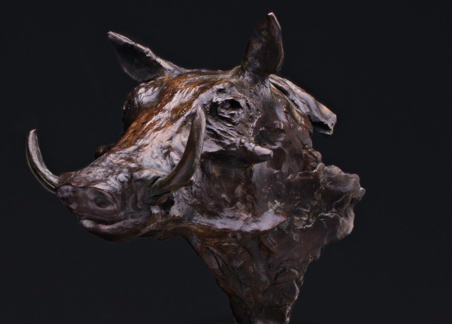 Heinrich Filter Figurative Sculpture – Warthog-Büste – Bronze-Skulptur der Tierwelt