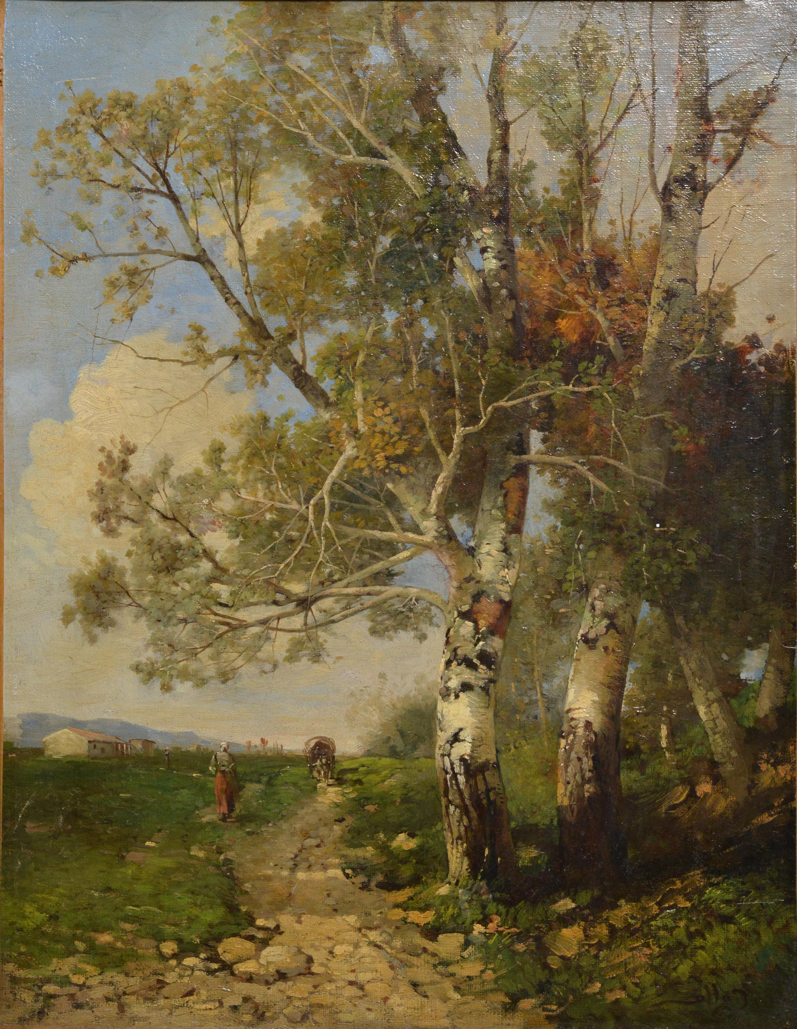 Summer Landscape with Birches by Austrian Master Gollob Early 20th century Oil - Painting by Heinrich Gollob