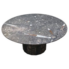 Heinz Lilienthal Fossil Coffee Table Germany 1970 Signed