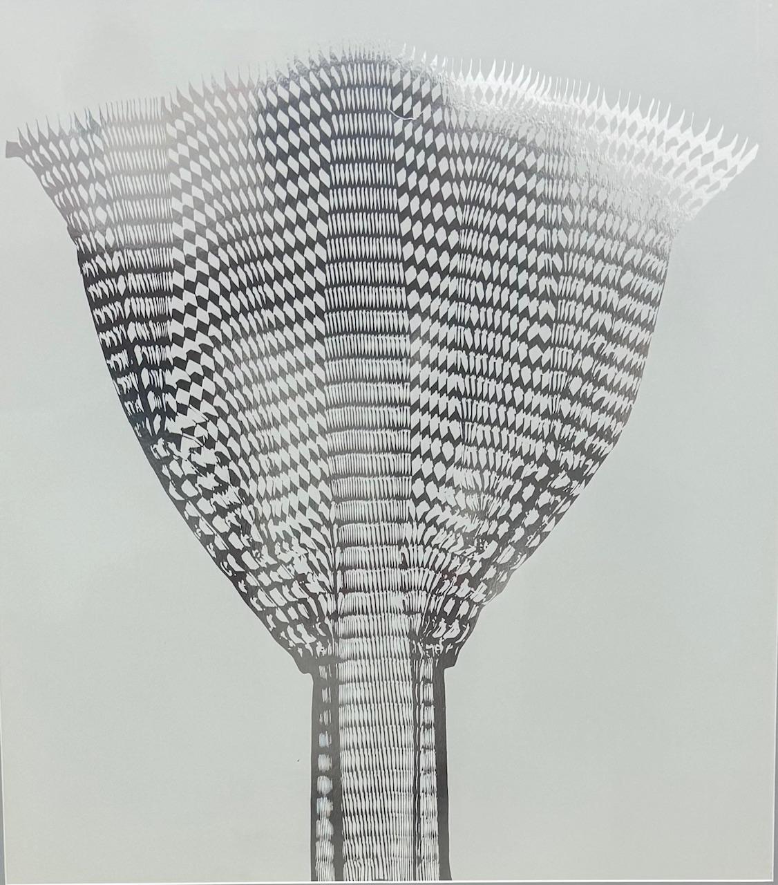 "Silberfächer - Silver Fan" is an original Seriograph by renowned zero artist Hans Mack.  The work depicts in a silver gelatin print a silver fan.  Originally signed and numbered.  1972. Certificate. Oeuvre raisonn�ée:  Mack 182. Edition:  14/50. The