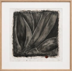 Einzigartiger, gerahmter, monochromer chemischer Bildtransfer auf handgeschöpftem Papier „Succulant“