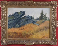 Low Mountain Landscape with Rocks - The mystery of an inconspicuous place -