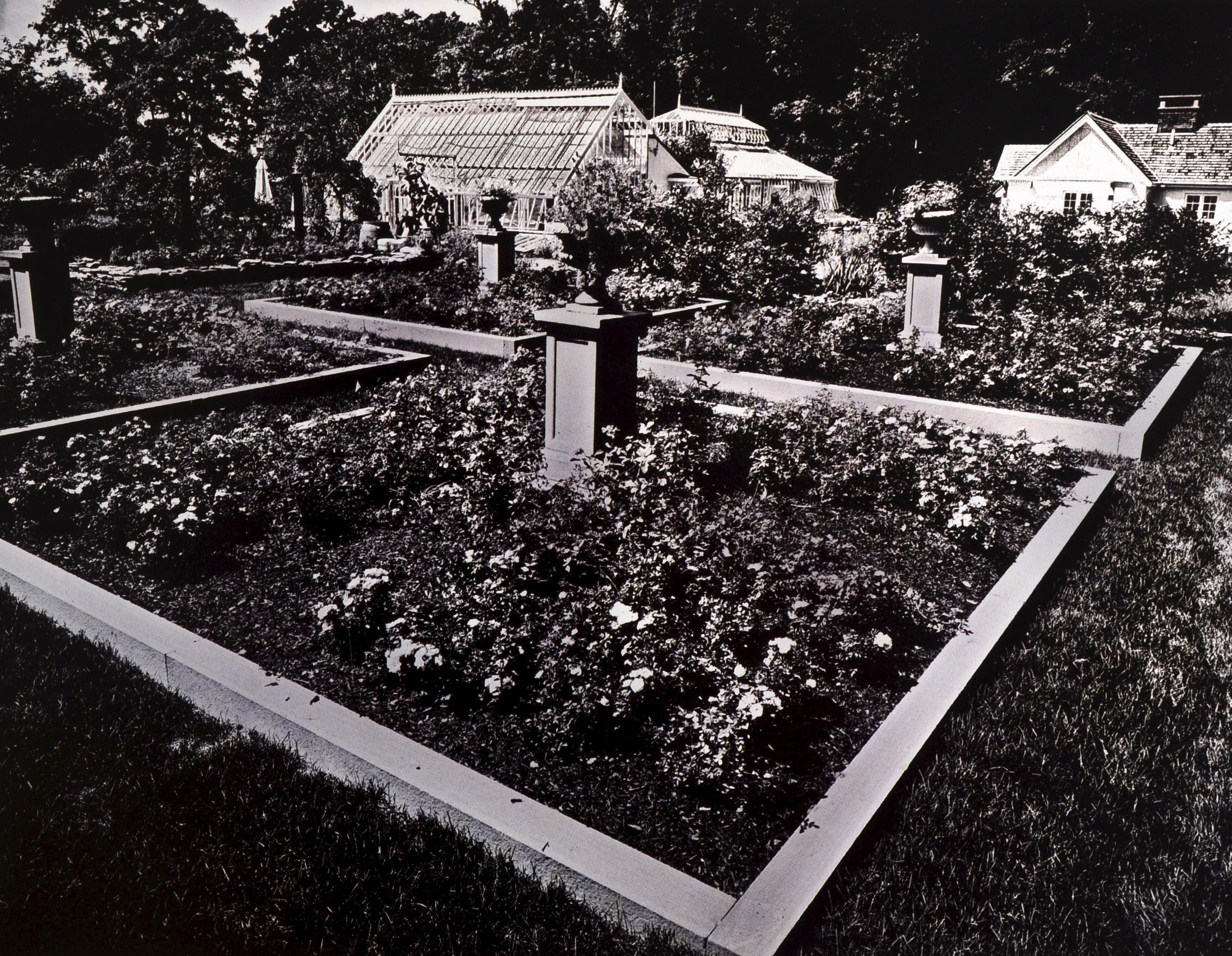 Heirloom Harvest: Modern Daguerreotypes of Historic Garden Treasures, Signed Ed For Sale 8