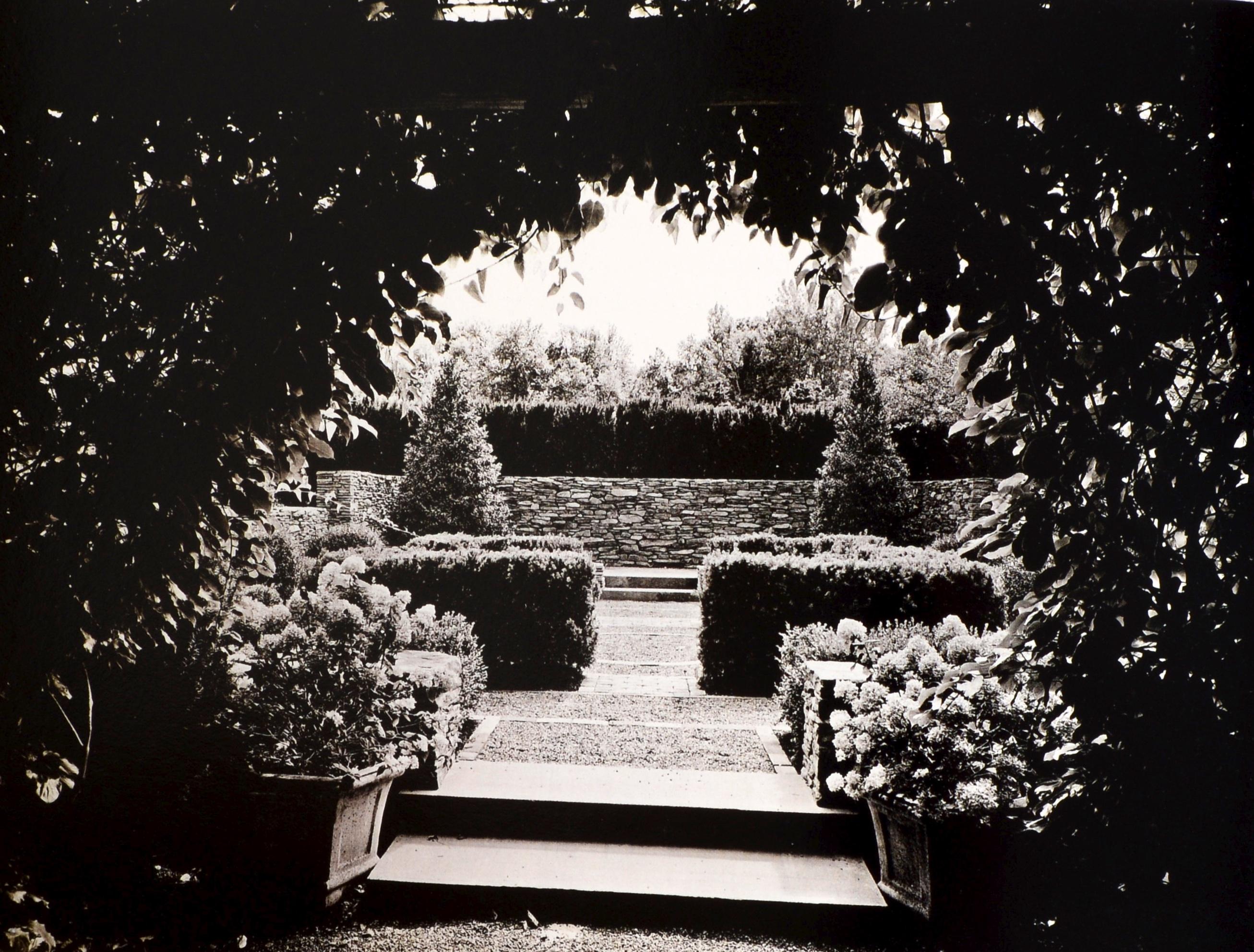 Heirloom Harvest: Modern Daguerreotypes of Historic Garden Treasures, Signed Ed For Sale 11