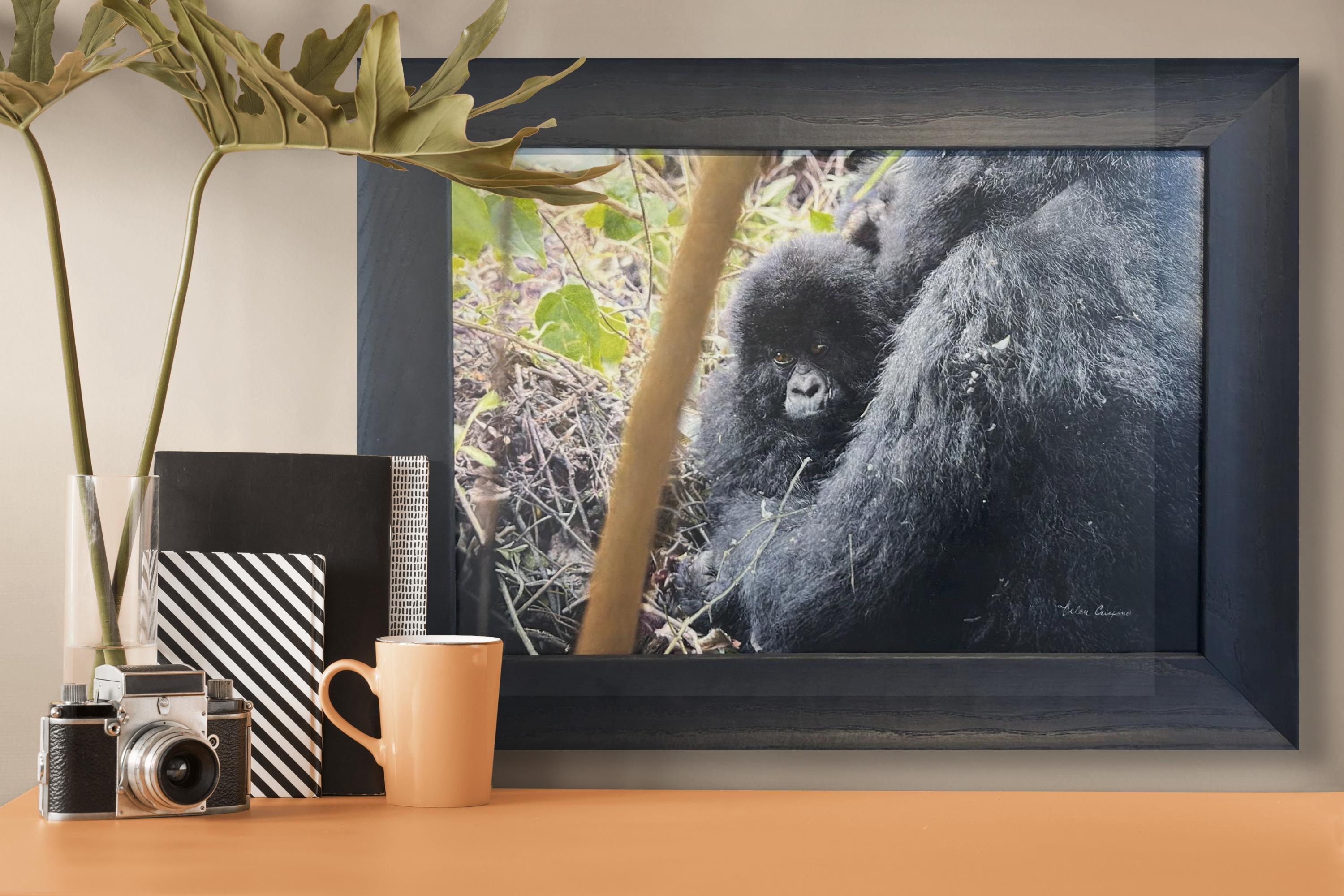 Cette incroyable peinture à l'huile photoréaliste est encadrée au format 17,75 x 24 pouces et est prête à être accrochée.

Helen a passé ces dernières années à établir sa réputation d'artiste contemporaine véritablement douée.  Originaire de Dalton,