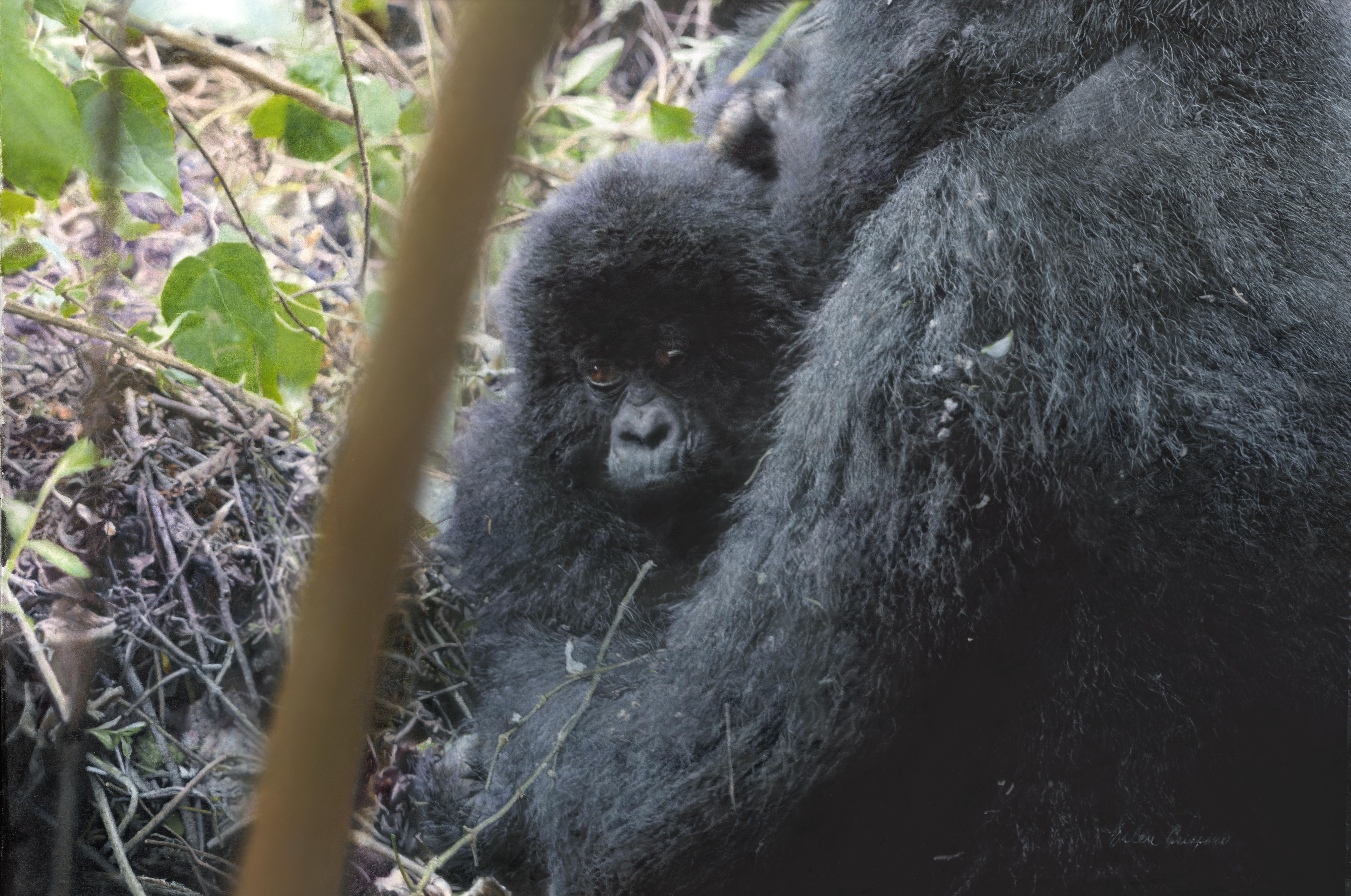 Figurative Painting Helen Crispino - "L
amour d
une mère" (2025) Peinture animalière à l
huile sur panneau