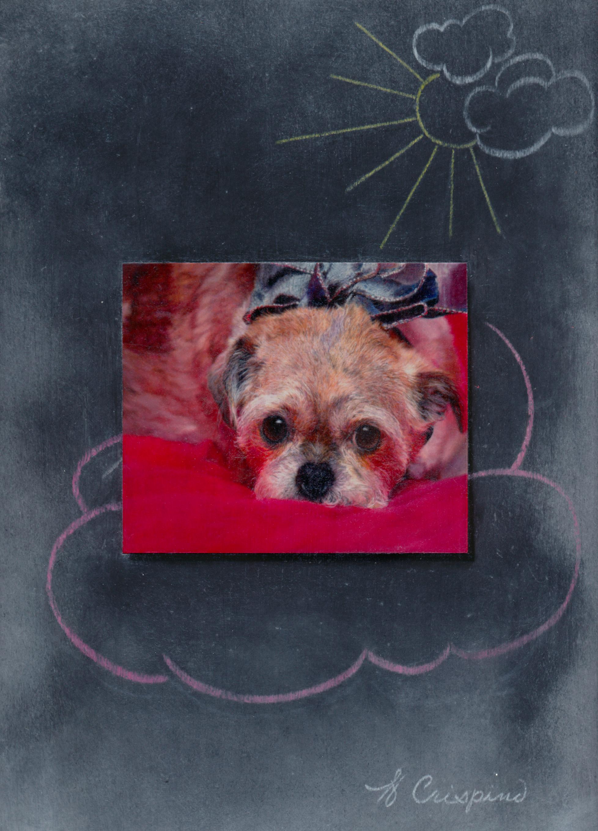 Helen Crispino Figurative Painting – "Cloud 9" (2024) Öl-Tier-Gemälde auf Karton