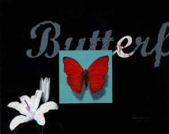 "The Illusion" (2025) Oil Animal Painting on Board