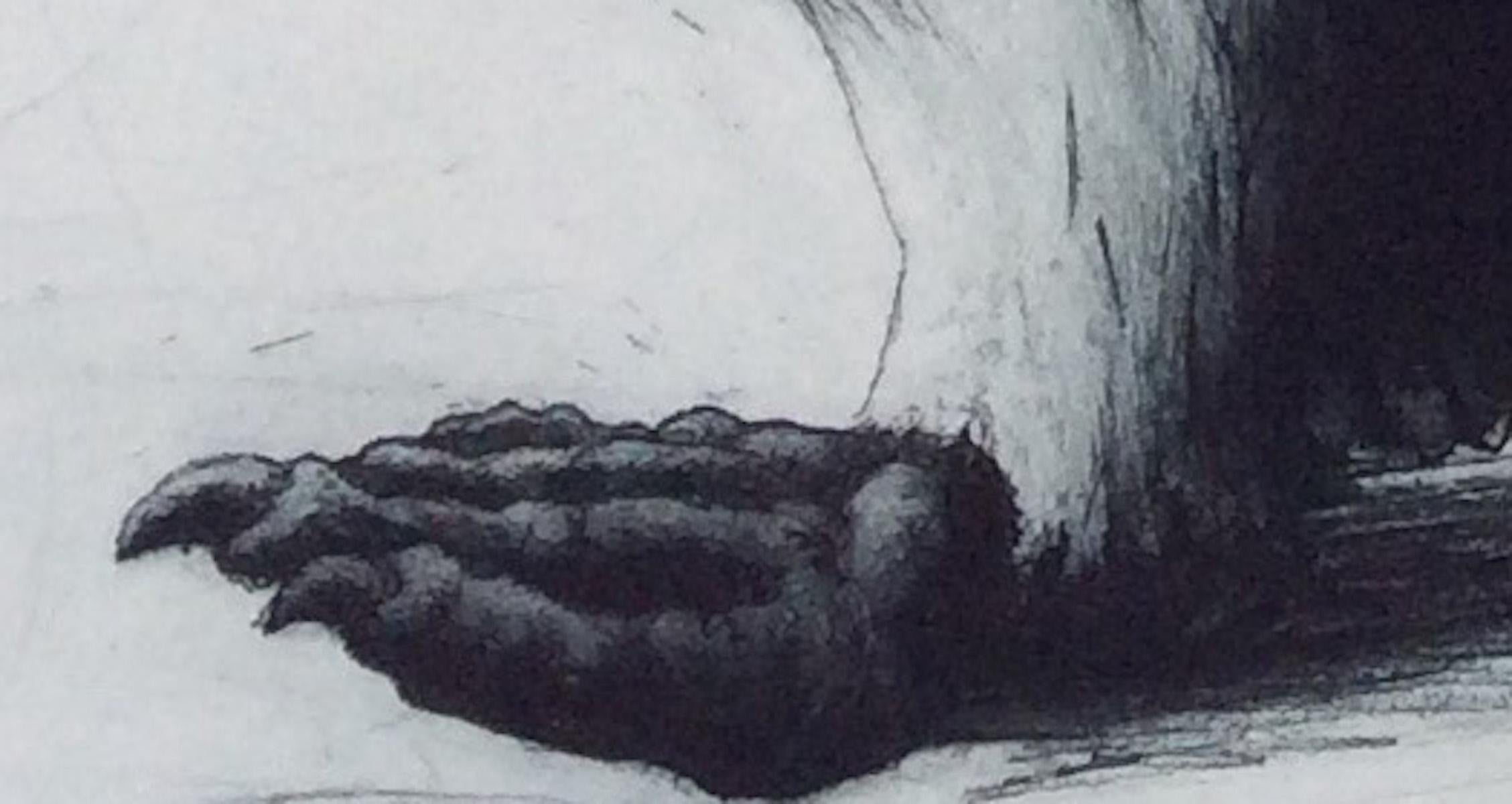 Impresión original, hecha e impresa a mano por el artista. Un pingüino en una misión, un pingüino papúa dando zancadas de la forma indomable en que lo hace un pingüino.
Helen Fay está disponible en línea y en nuestra galería de Wychwood Art. Los
