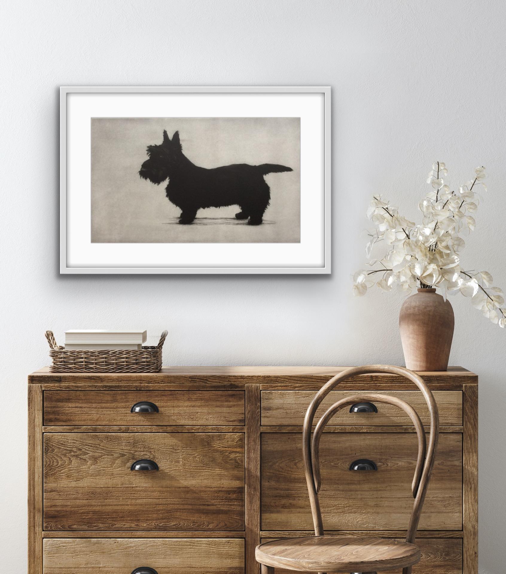 Helen Fay, Brodie in piedi, Stampa in edizione limitata, Arte del cane, Arte accessibile in vendita 3