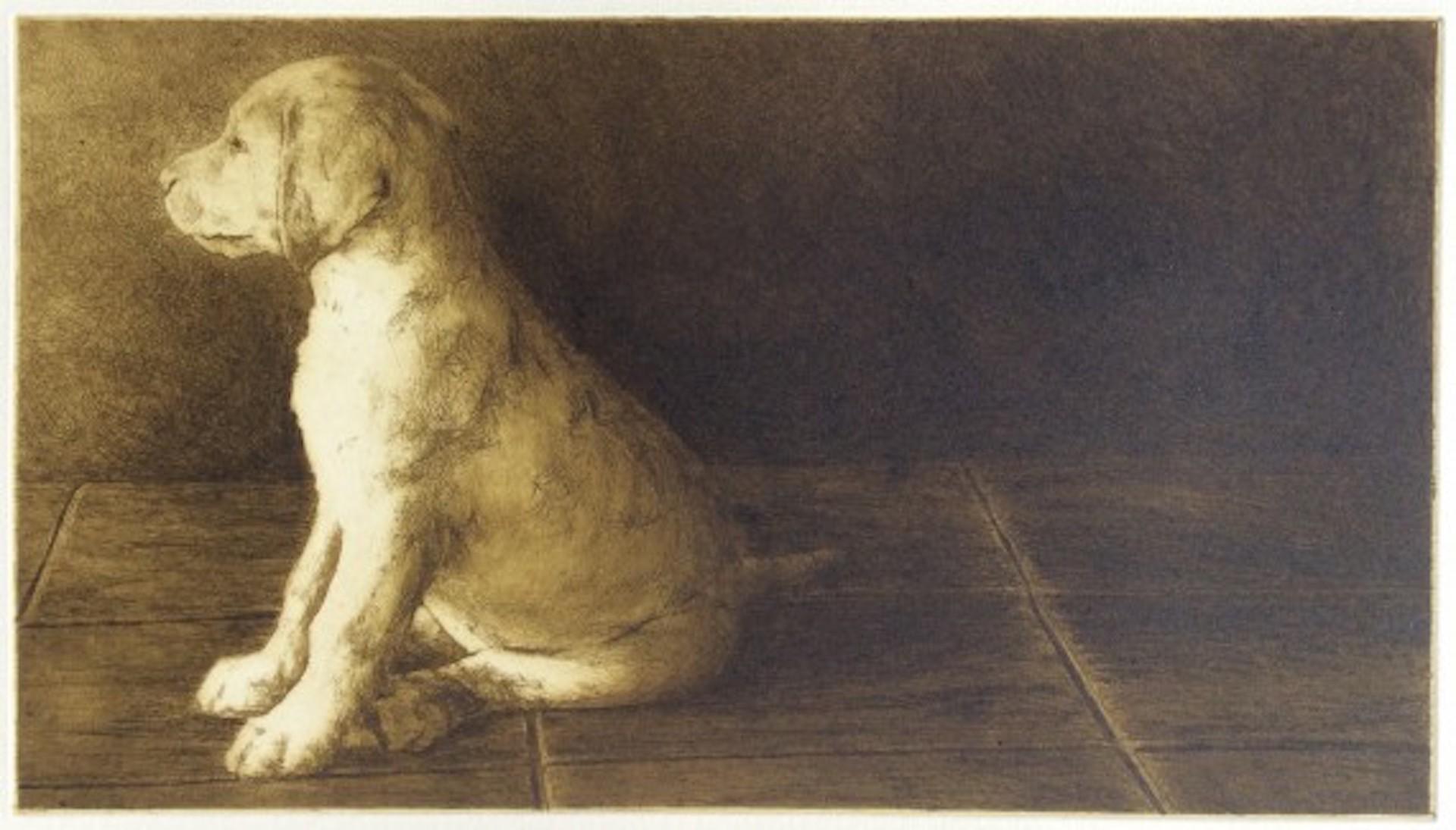 Helen Fay, Shakespeare, Stampa in edizione limitata, Arte del cane, Arte accessibile