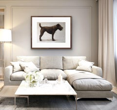 Izzy with her Ball, Dog Art, Affordable Art, Contemporary Animal Art Print