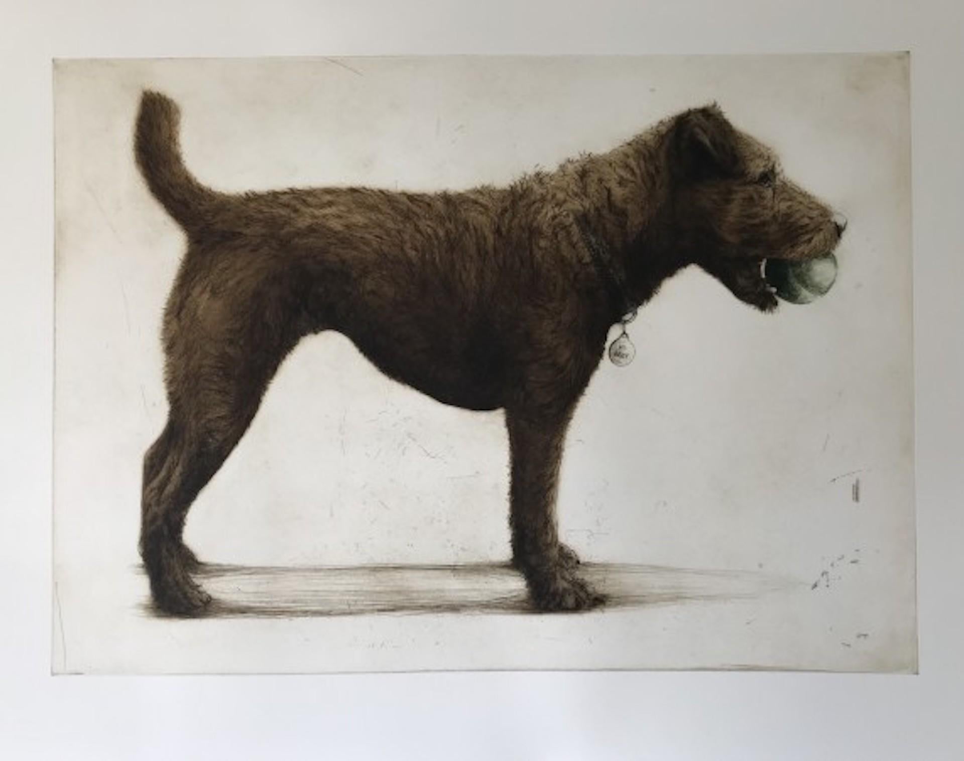 Izzy con la sua palla, Arte del cane, Arte accessibile, Stampa animale contemporanea - Still-Life Print Grigio di Helen Fay