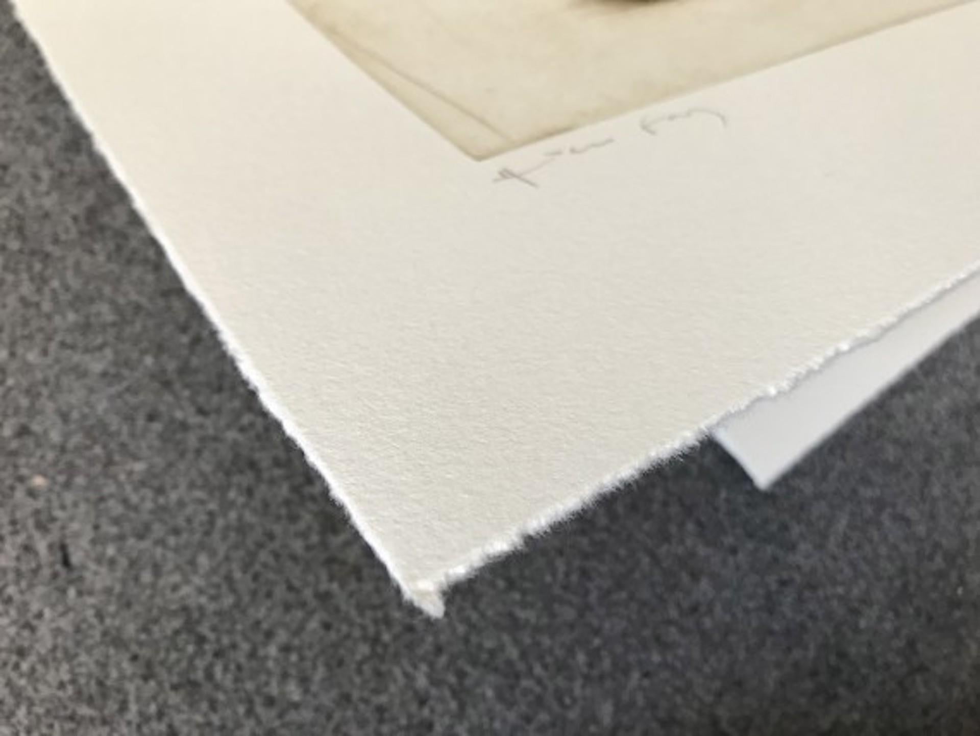 Izzy, un affascinante terrier di carattere, sta all'erta e tiene in bocca la sua palla. Acquaforte a colori realizzata e stampata a mano dall'artista.
Le opere d'arte di Helen Fay in vendita online e nella nostra galleria di Wychwood Art. Gli