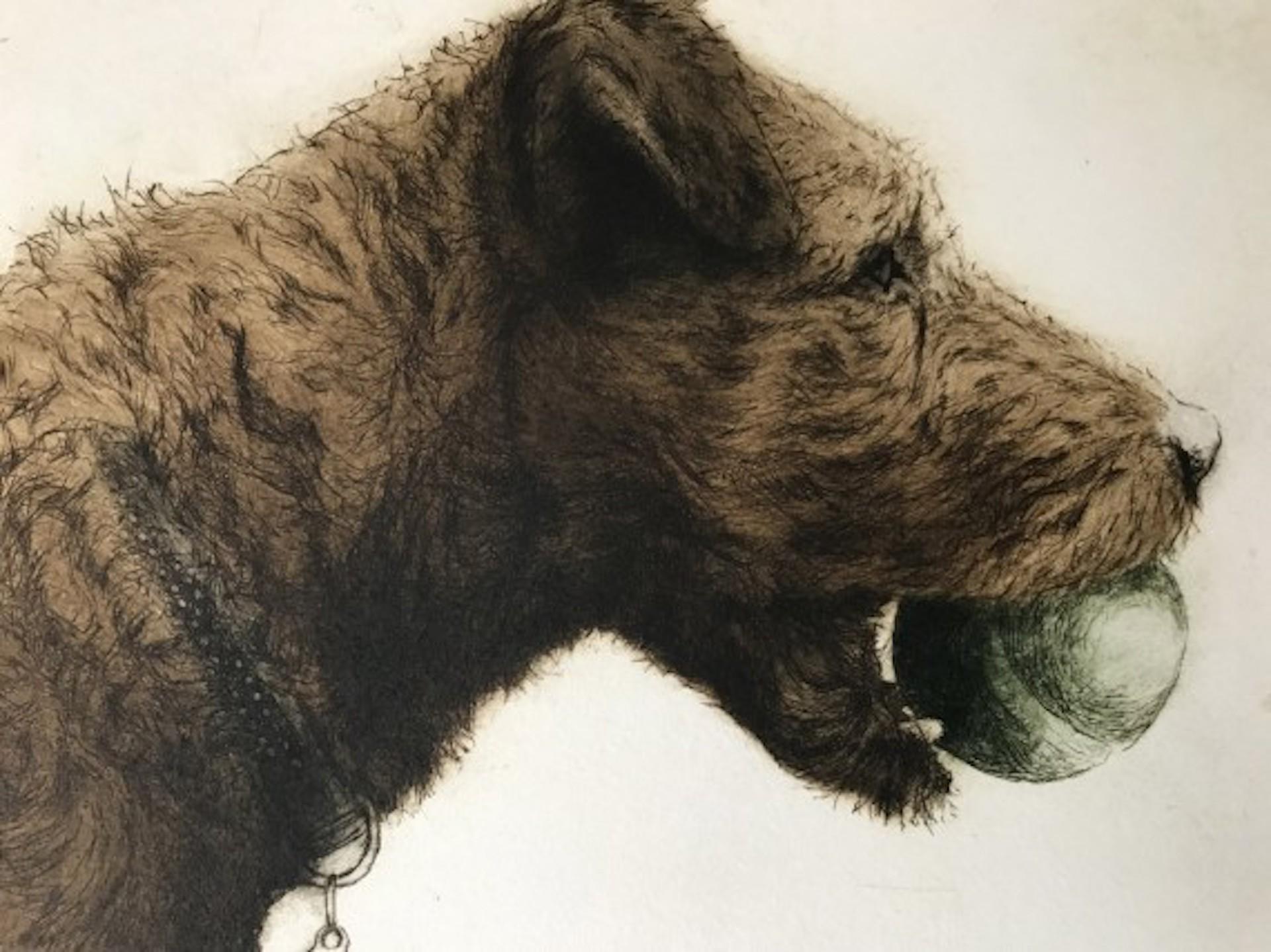 Izzy con la sua palla, Arte del cane, Arte accessibile, Stampa animale contemporanea in vendita 1
