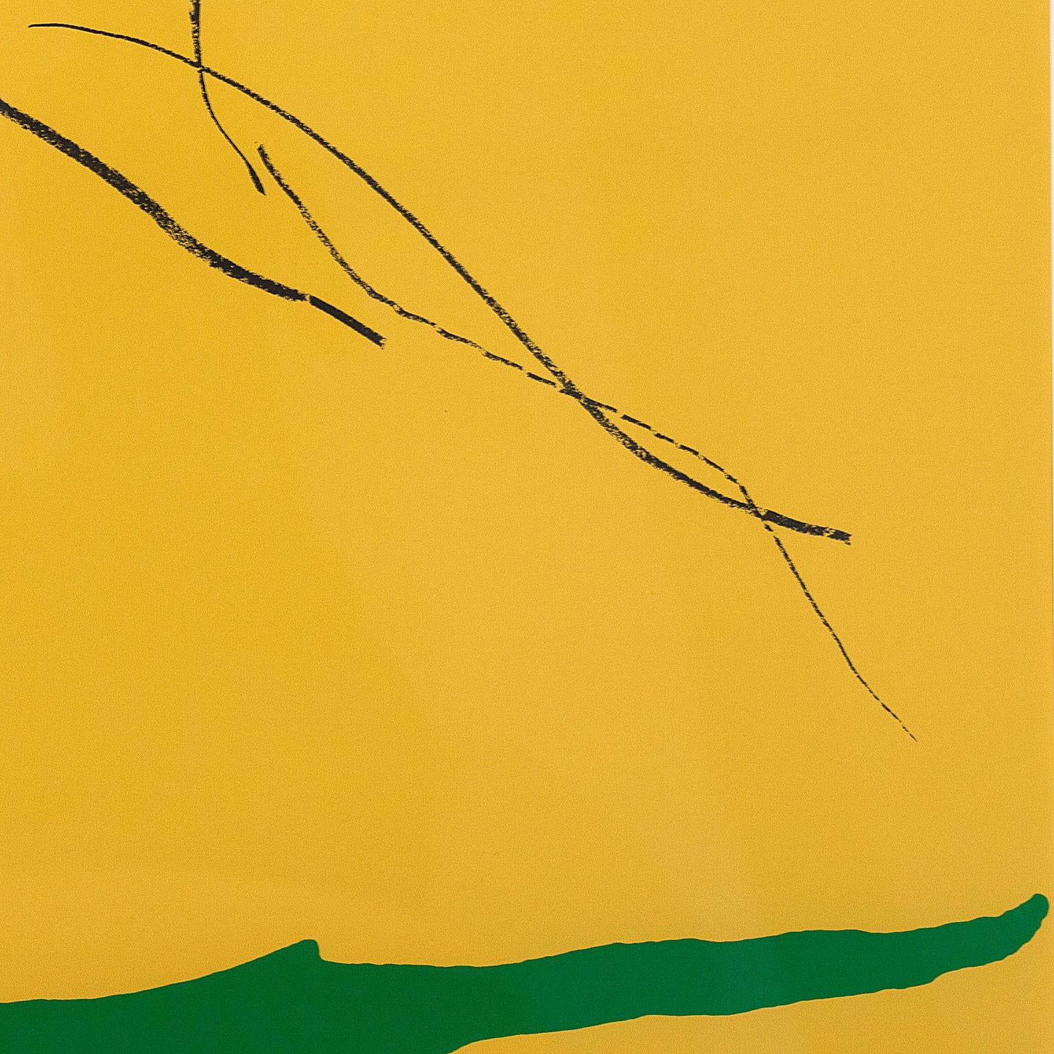 Helen Frankenthaler 