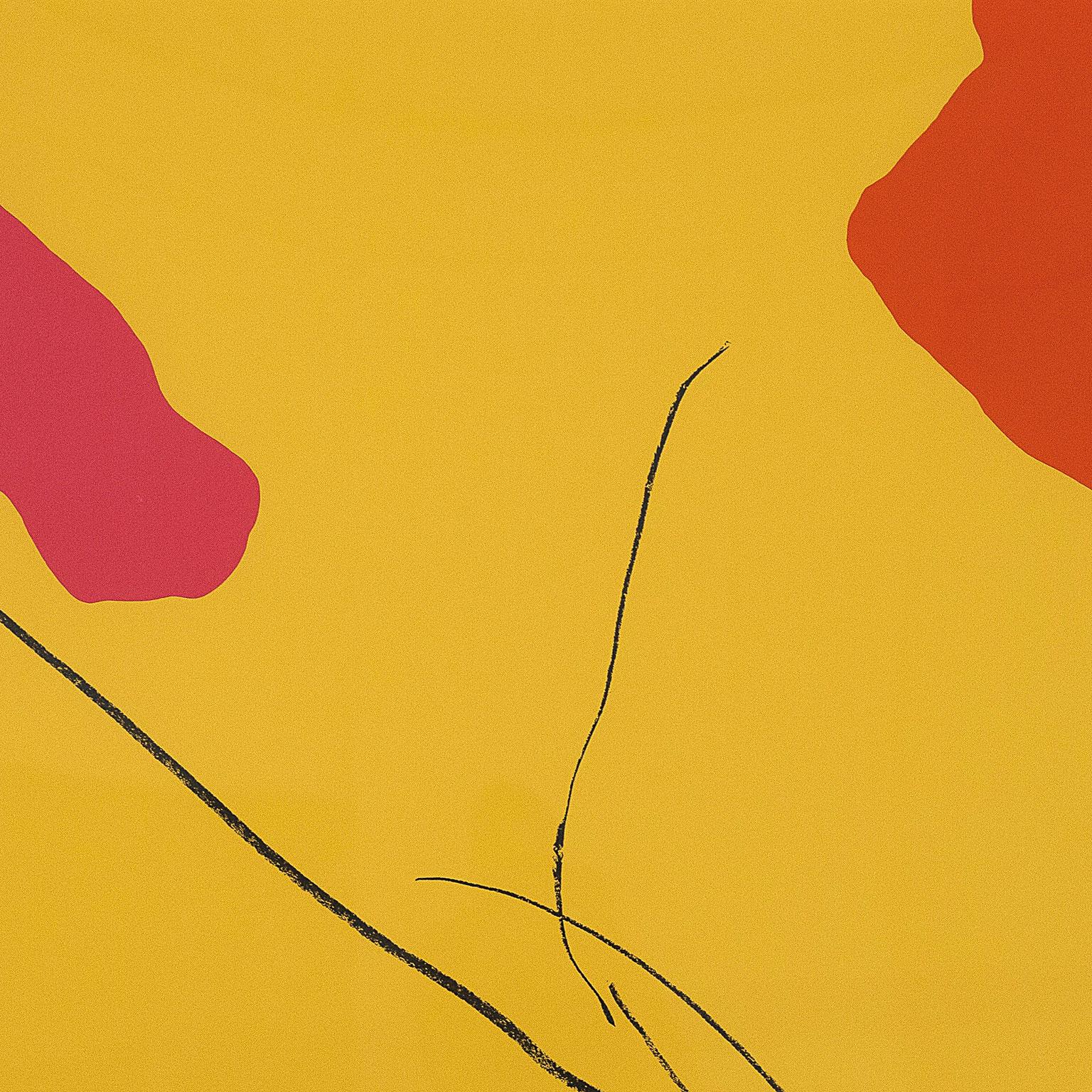 Helen Frankenthaler 