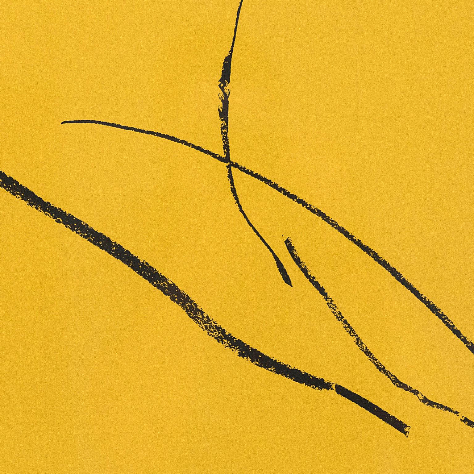 Helen Frankenthaler 