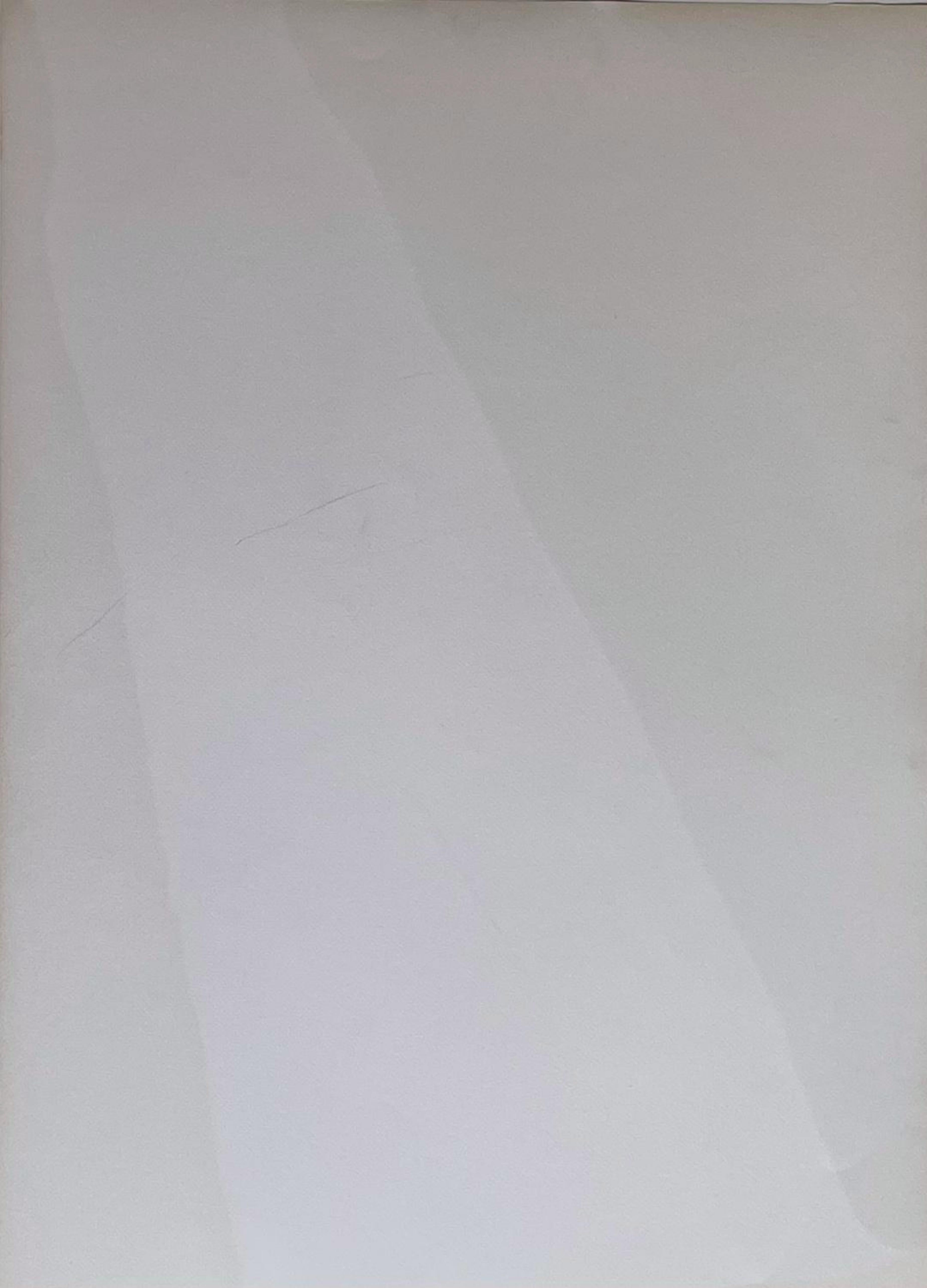 Silkscreen from the estate of Stephen Poleskie, Berggruen 11, Clark 12 Harrison - Print by Helen Frankenthaler